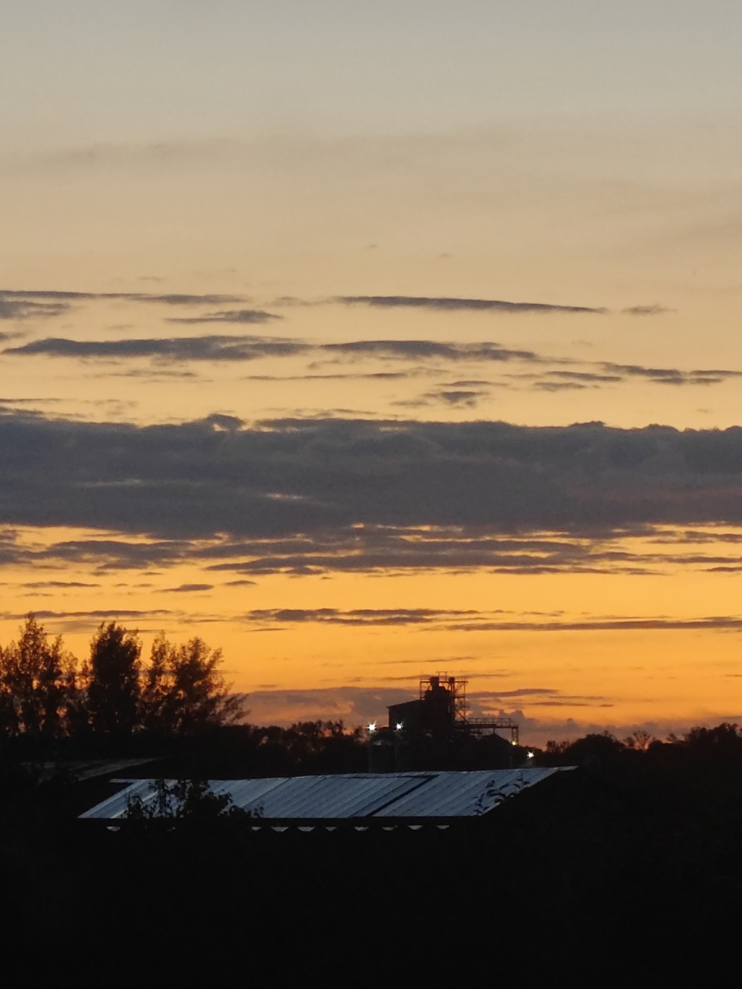 Sunset views, kids, and a chinchilla in Hadiach