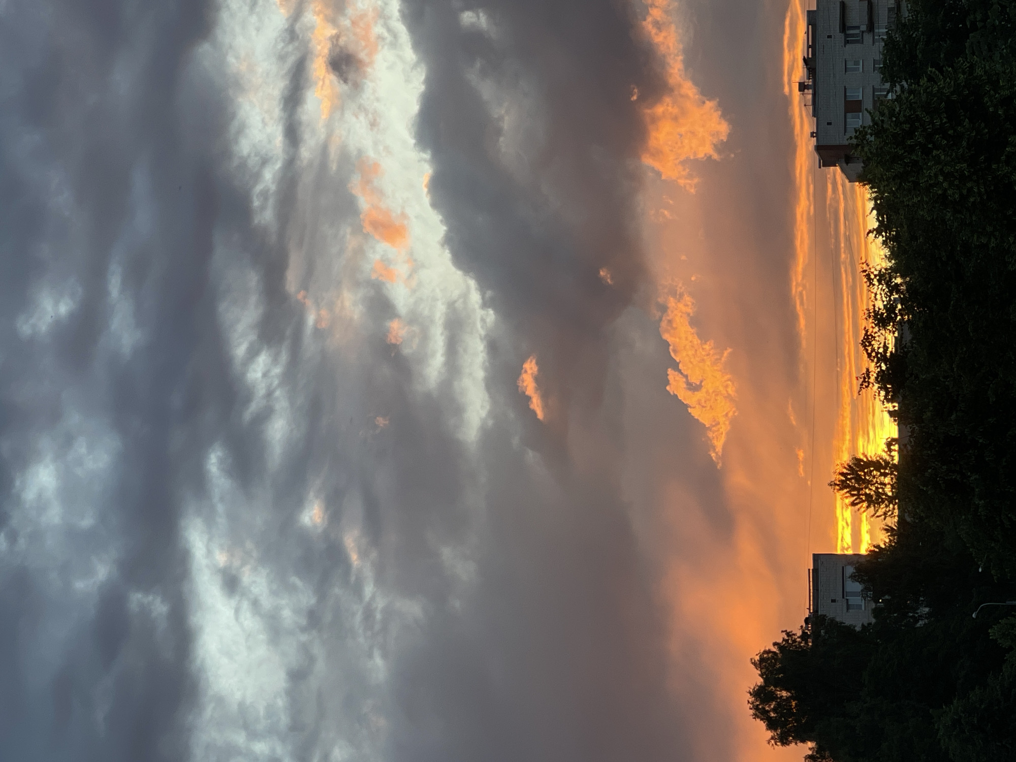 Dramatic sunset over a urban waterway, ducks included
