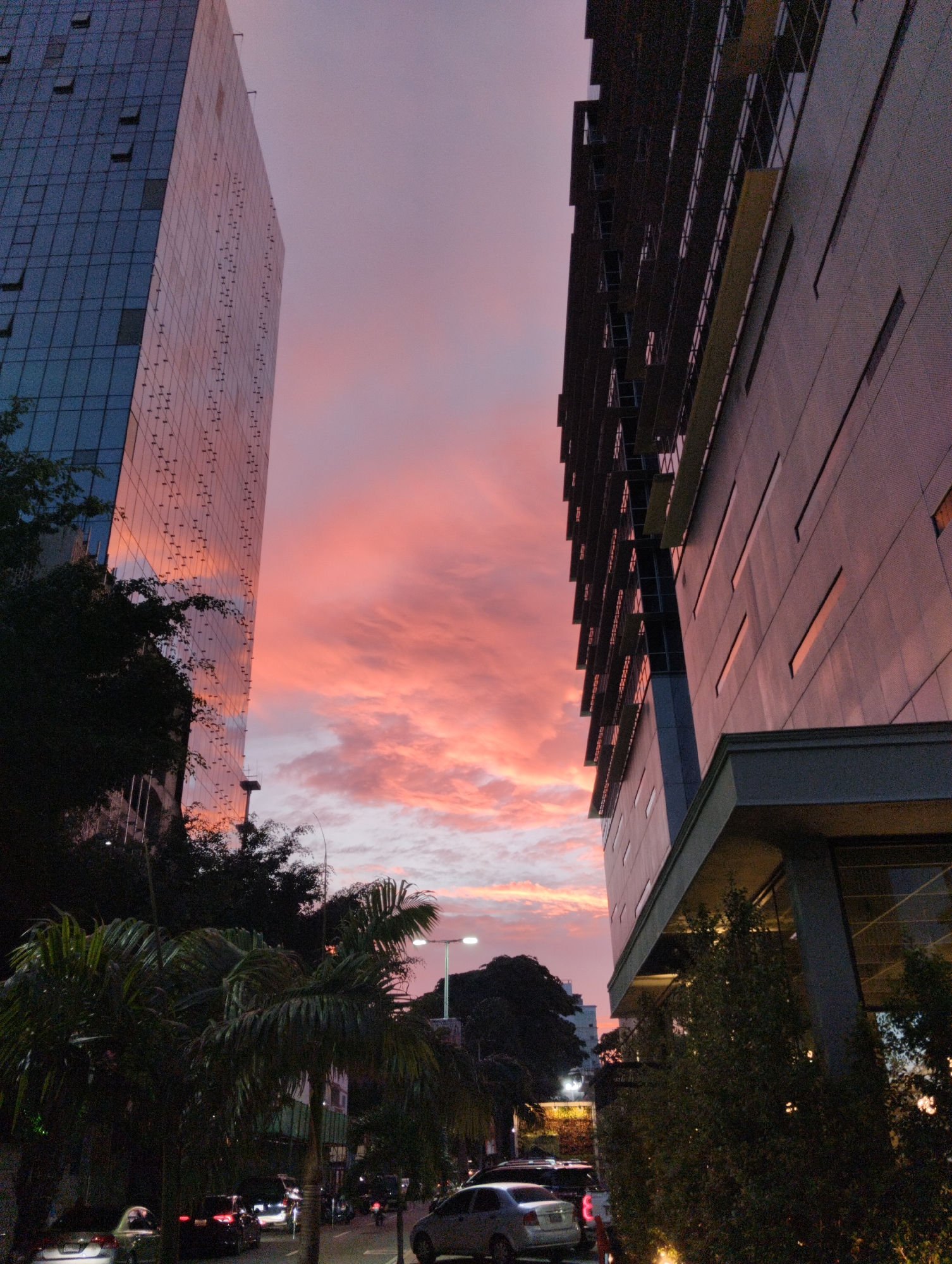 Pink sunset observed between tall buildings in Caracas