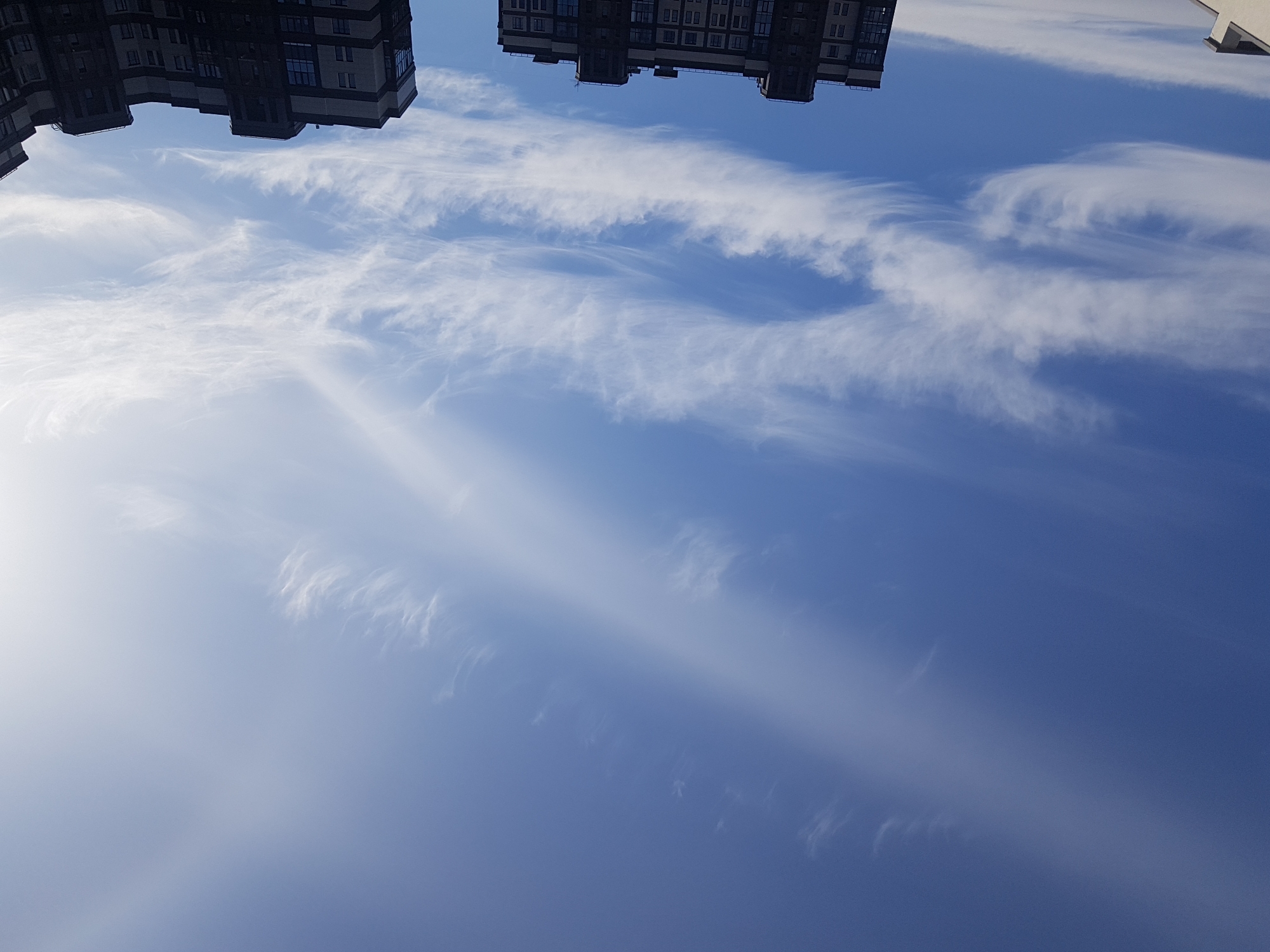 Witness captures afternoon cirrus clouds over Saint Petersburg skies