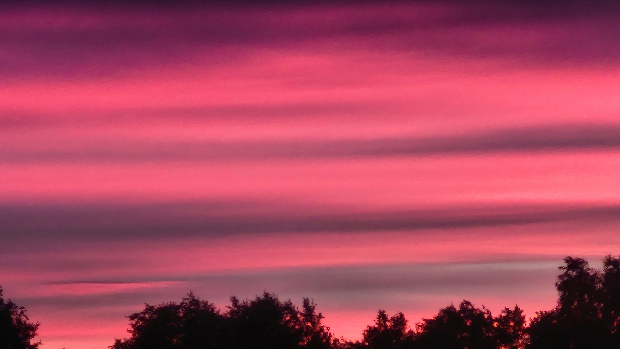 Striking summer sunset over Saint Petersburg's outskirts