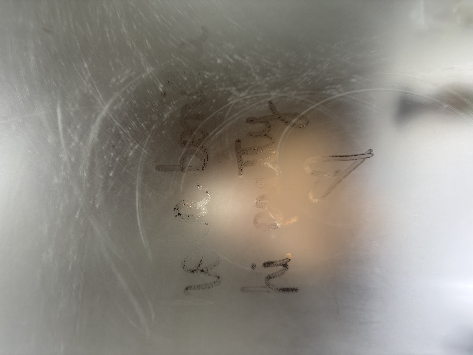 Vitacura residents document glass markings, autumn street scene