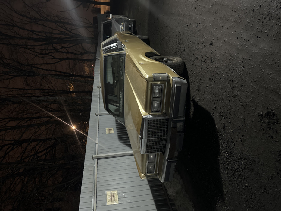 Vintage sedan documented in nighttime Zhabkino encounter