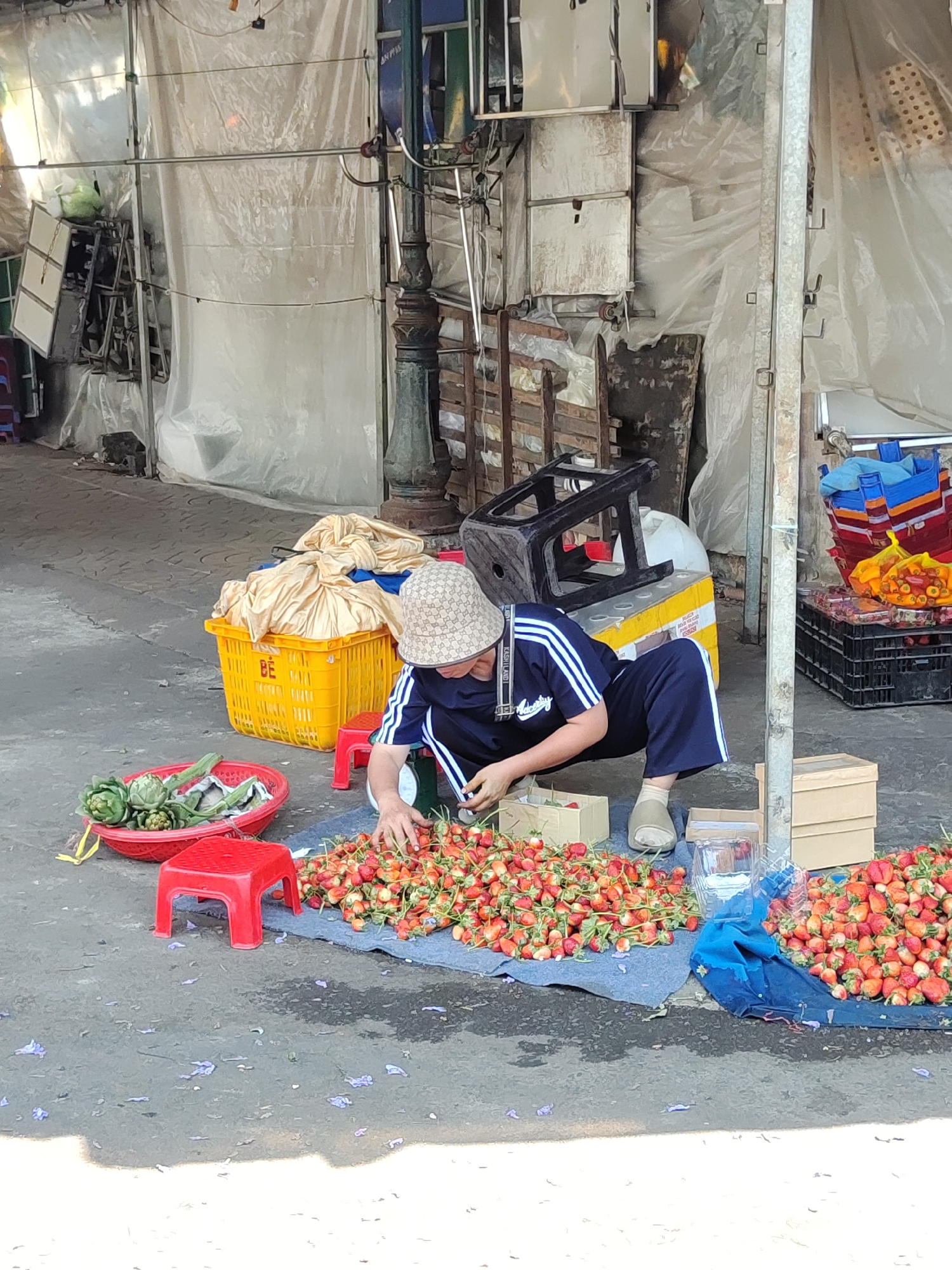 Morning scenes from Da Lat's vibrant flower markets documented