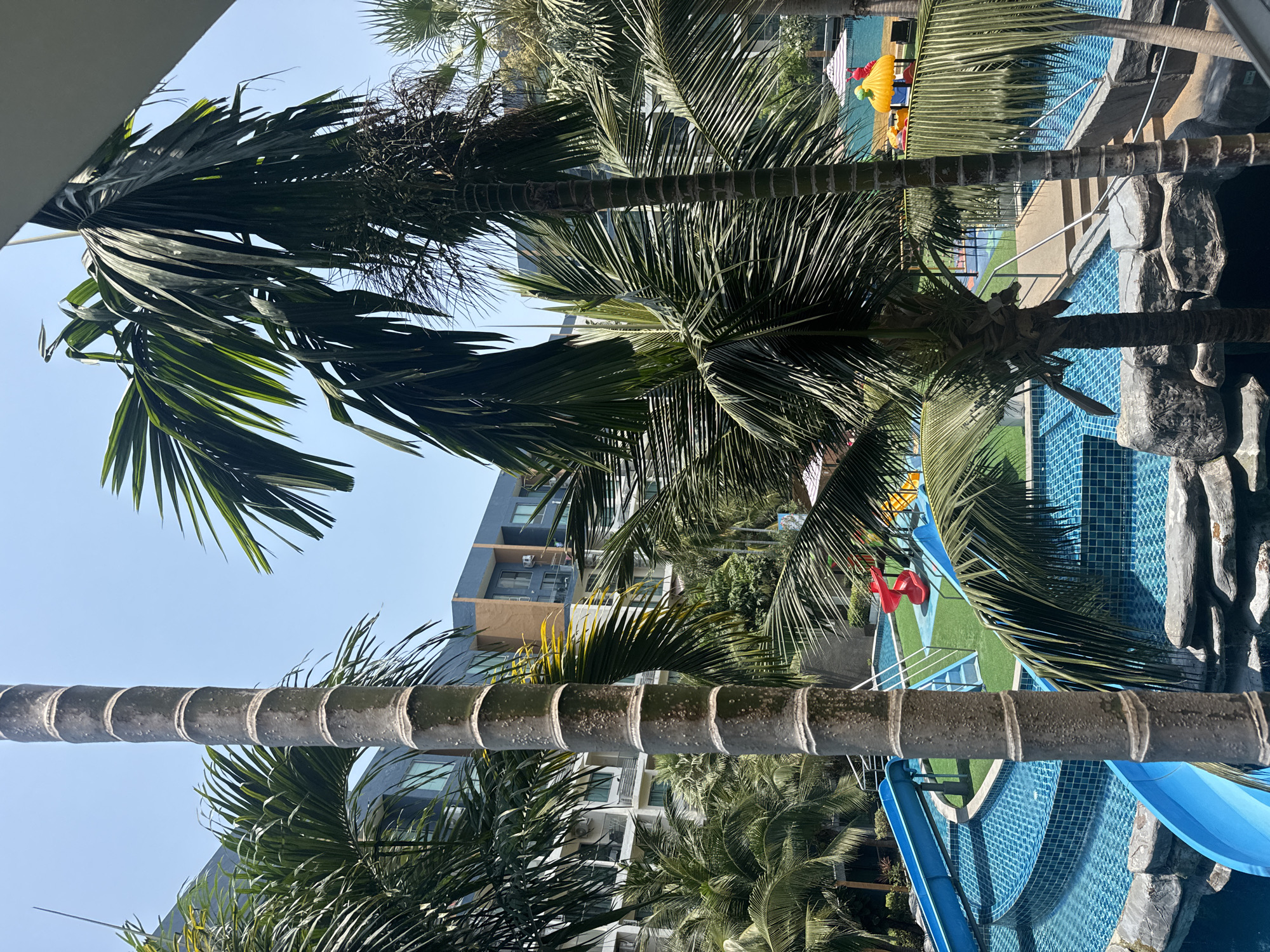 Early morning scenes captured at Pattaya hotel balcony
