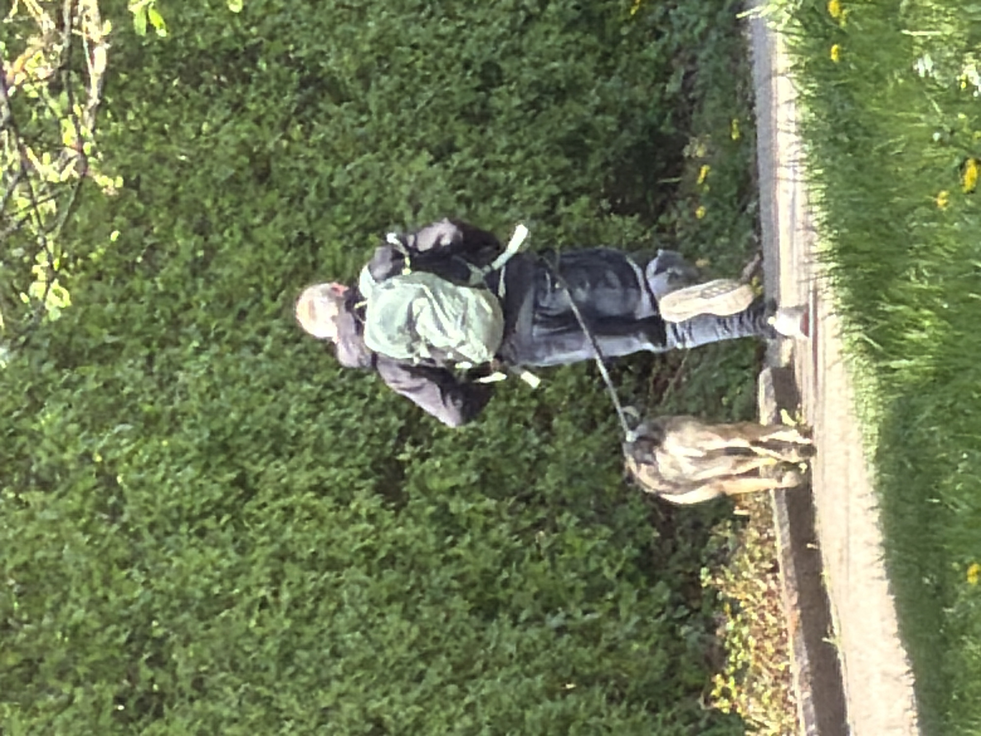 Dog walker takes sunglasses-wearing pit bull through Luxembourg park