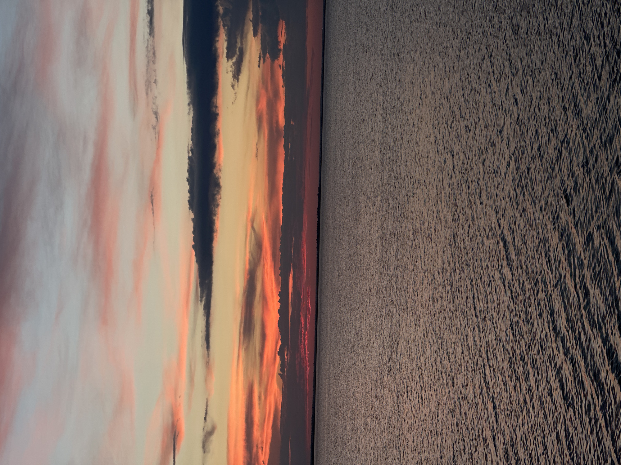 Evening cat and sunset moments captured in Kokshetau
