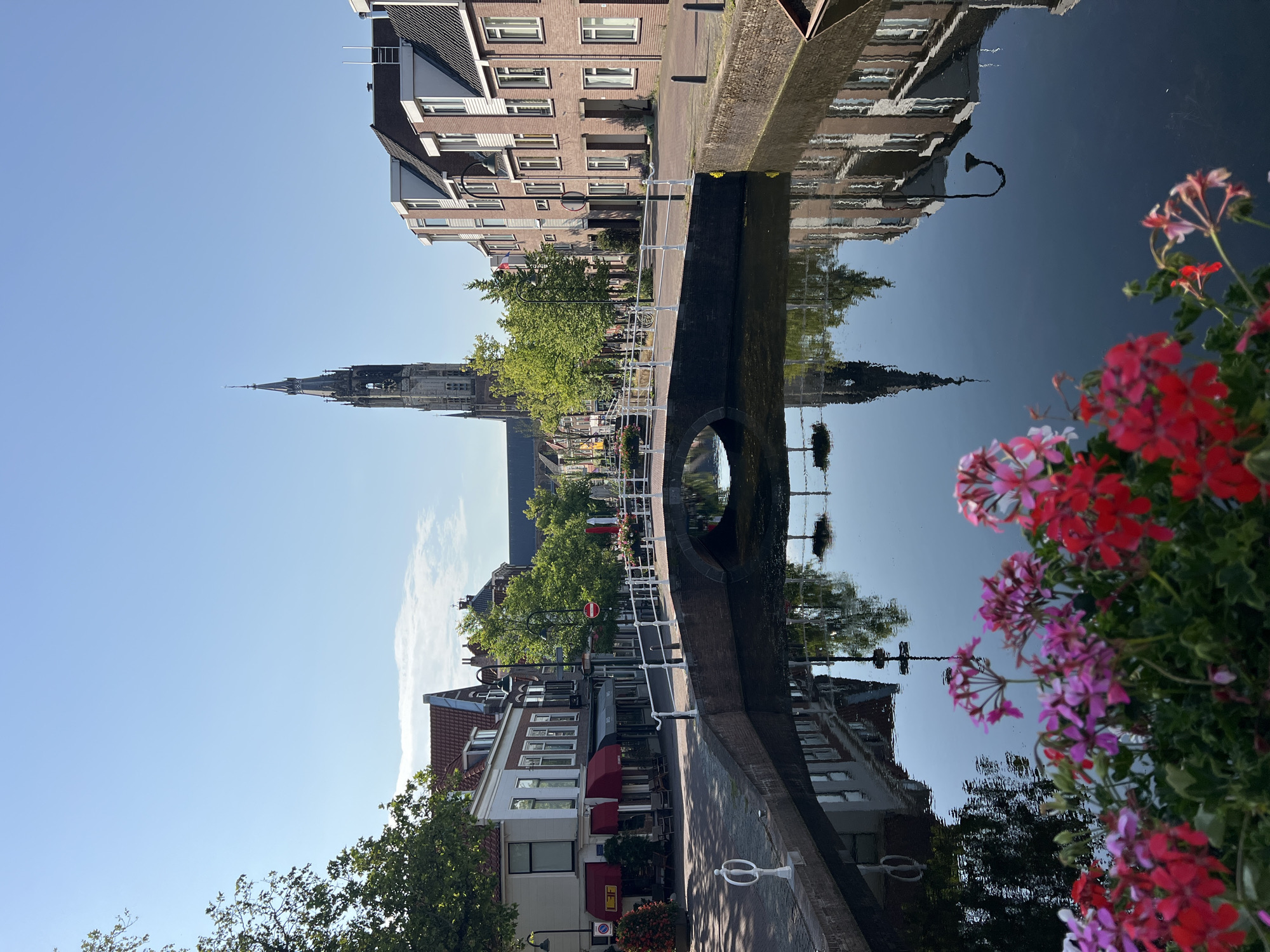 Blooming flowers along a Delft canal in summer