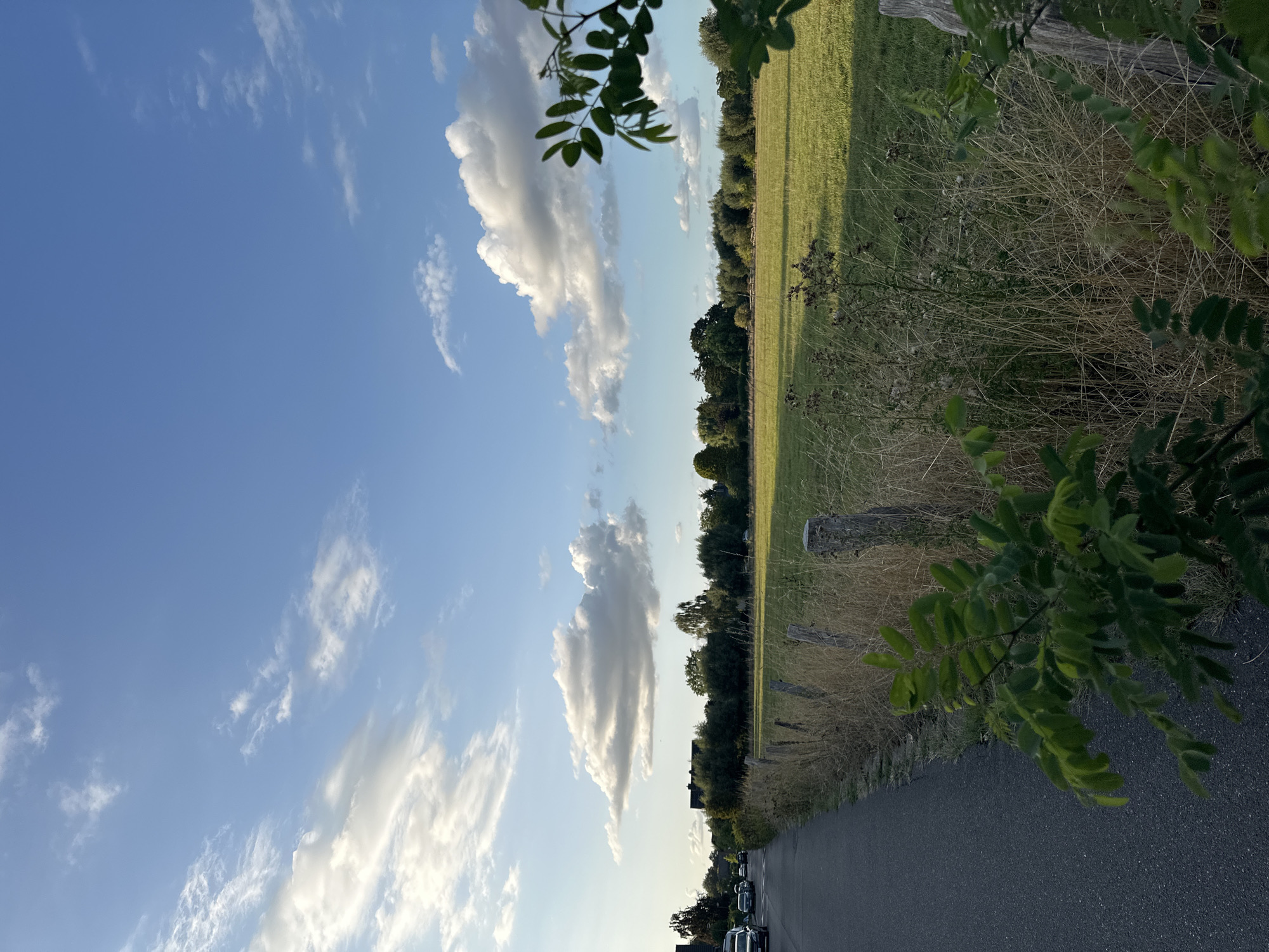 Slow afternoon walk through Krefeld's fields and gardens