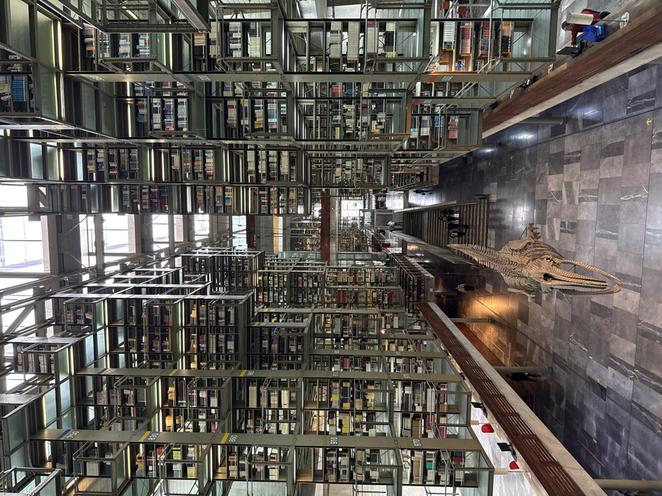 Mexico City library displays whale skeleton among floating bookshelves
