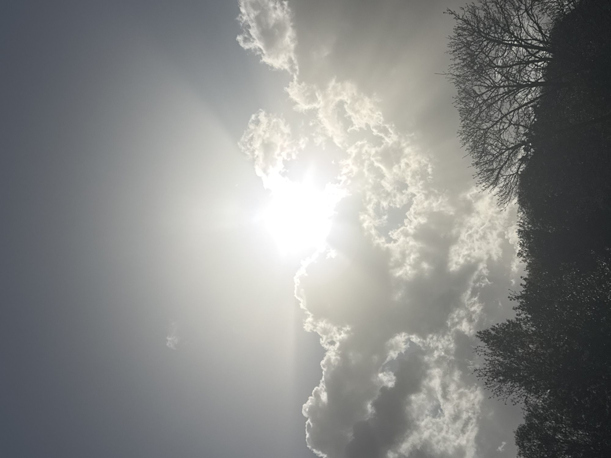 Cloudy afternoon scenes captured near Great Yarmouth cemetery