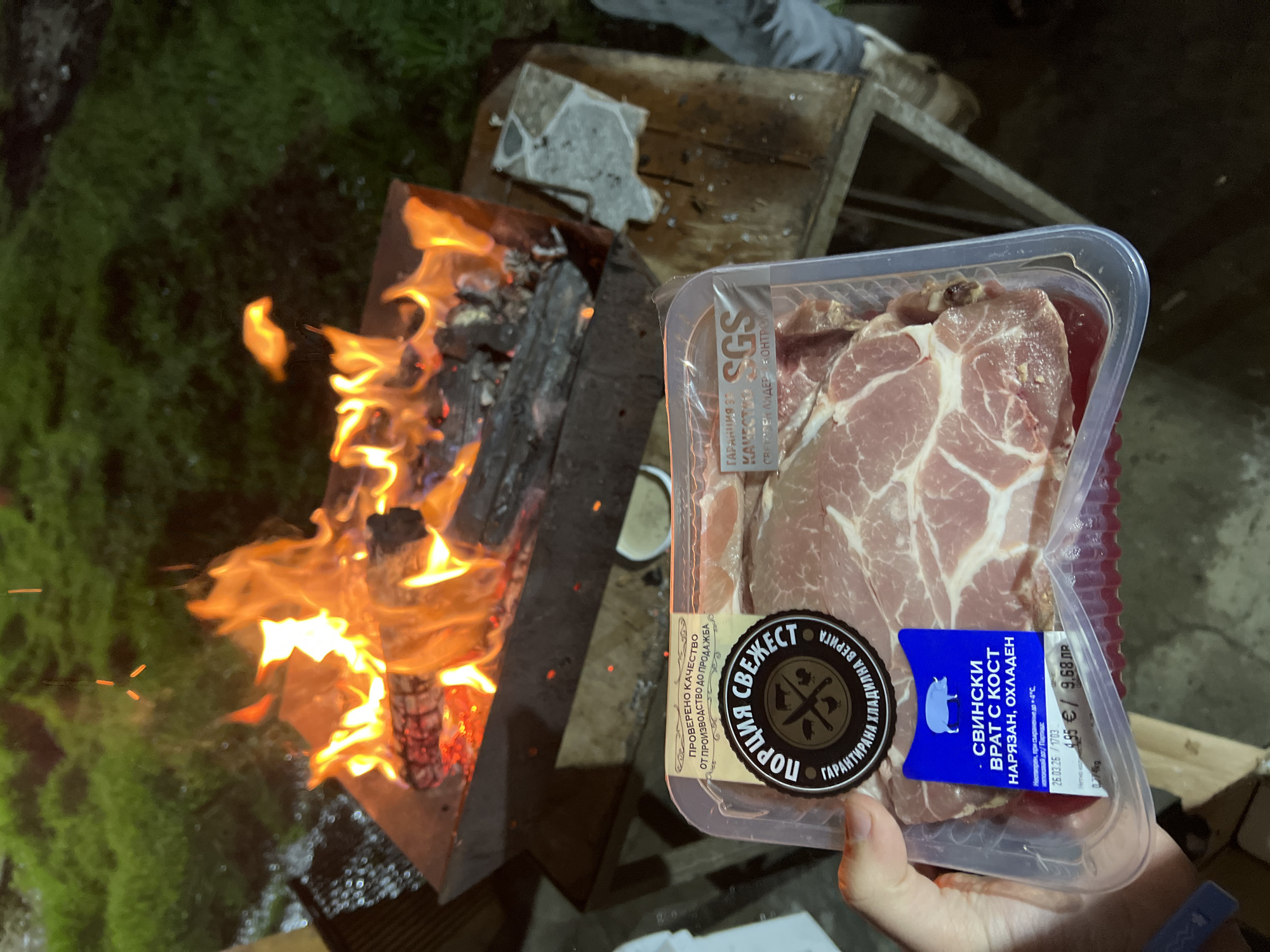 Evening barbecue gathering with grilling preparation in rural Bulgaria