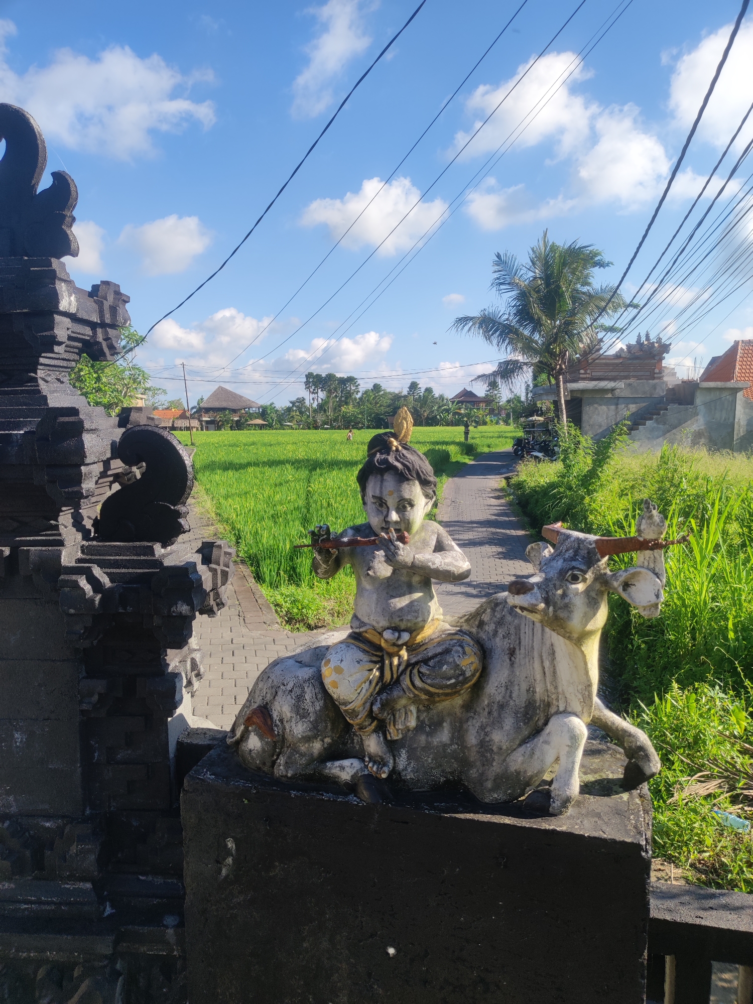 Traditional Balinese sculptures and architecture documented in Sayan