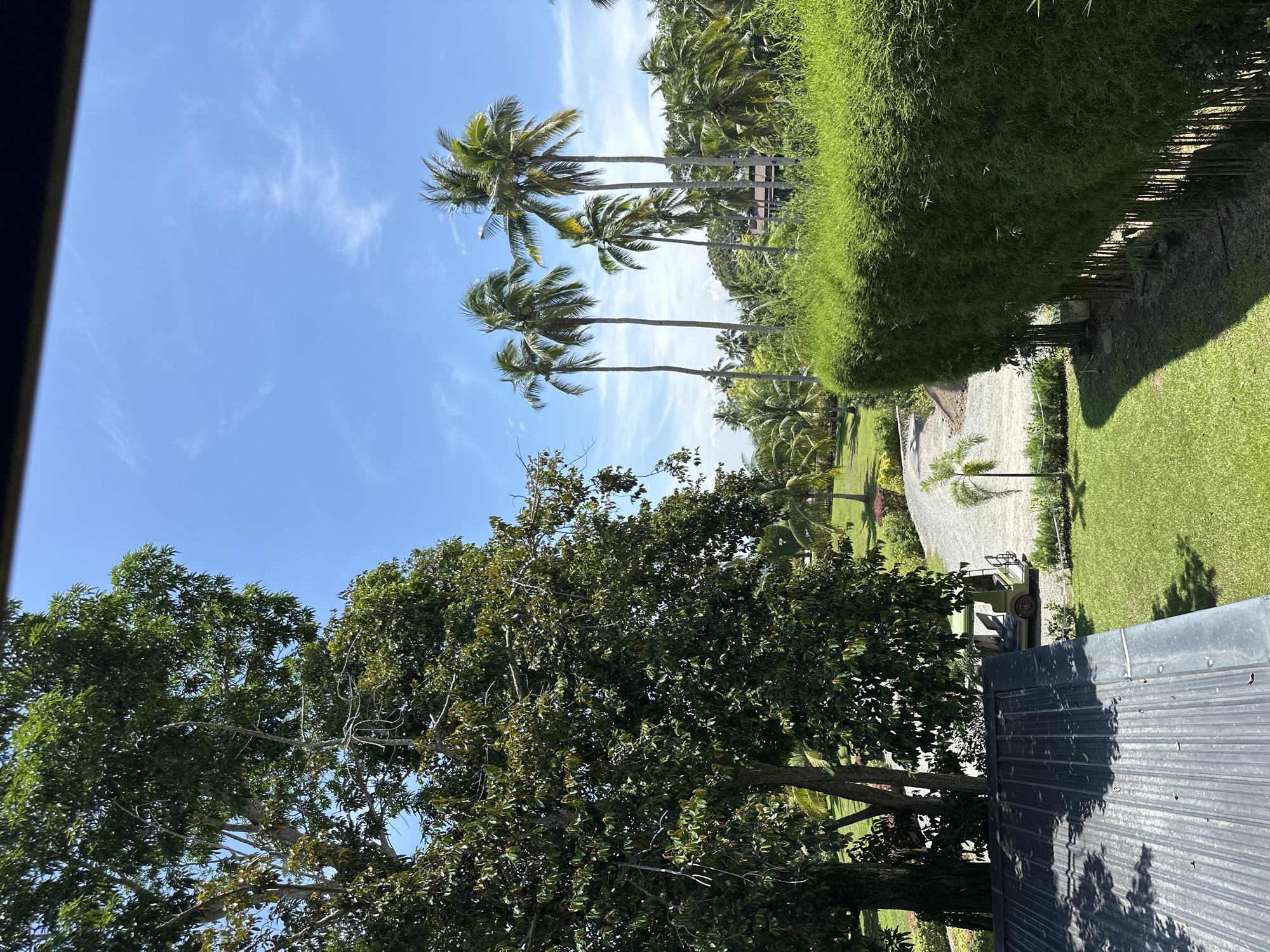 Inside and around Virtu Trattoria on Samal Island