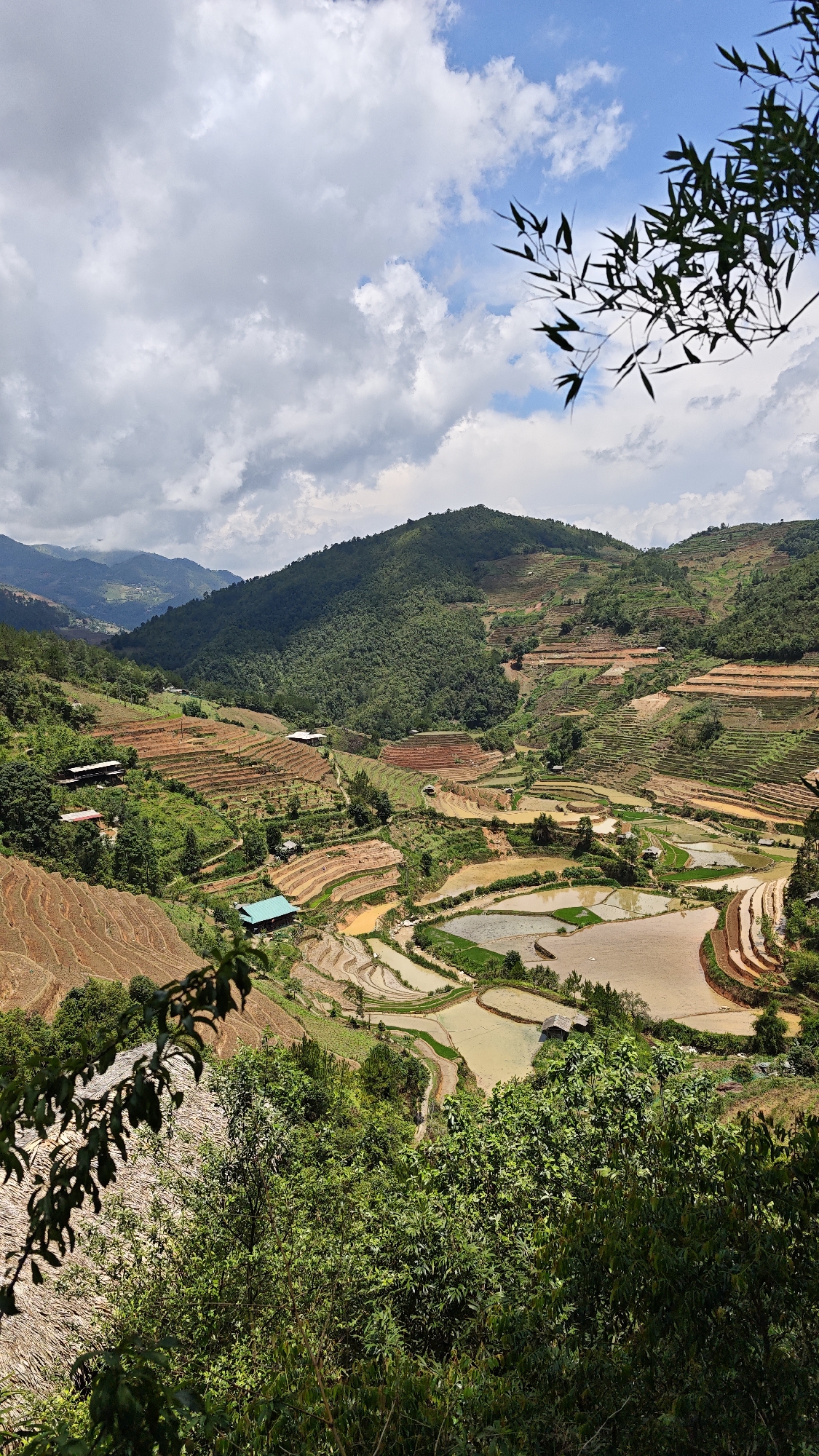 Terraced rice fields documented in rural Vietnam