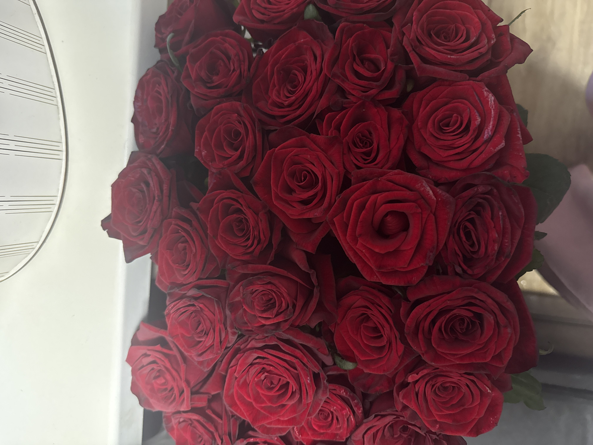 Evening scenes and red roses documented in Dnipro, Ukraine
