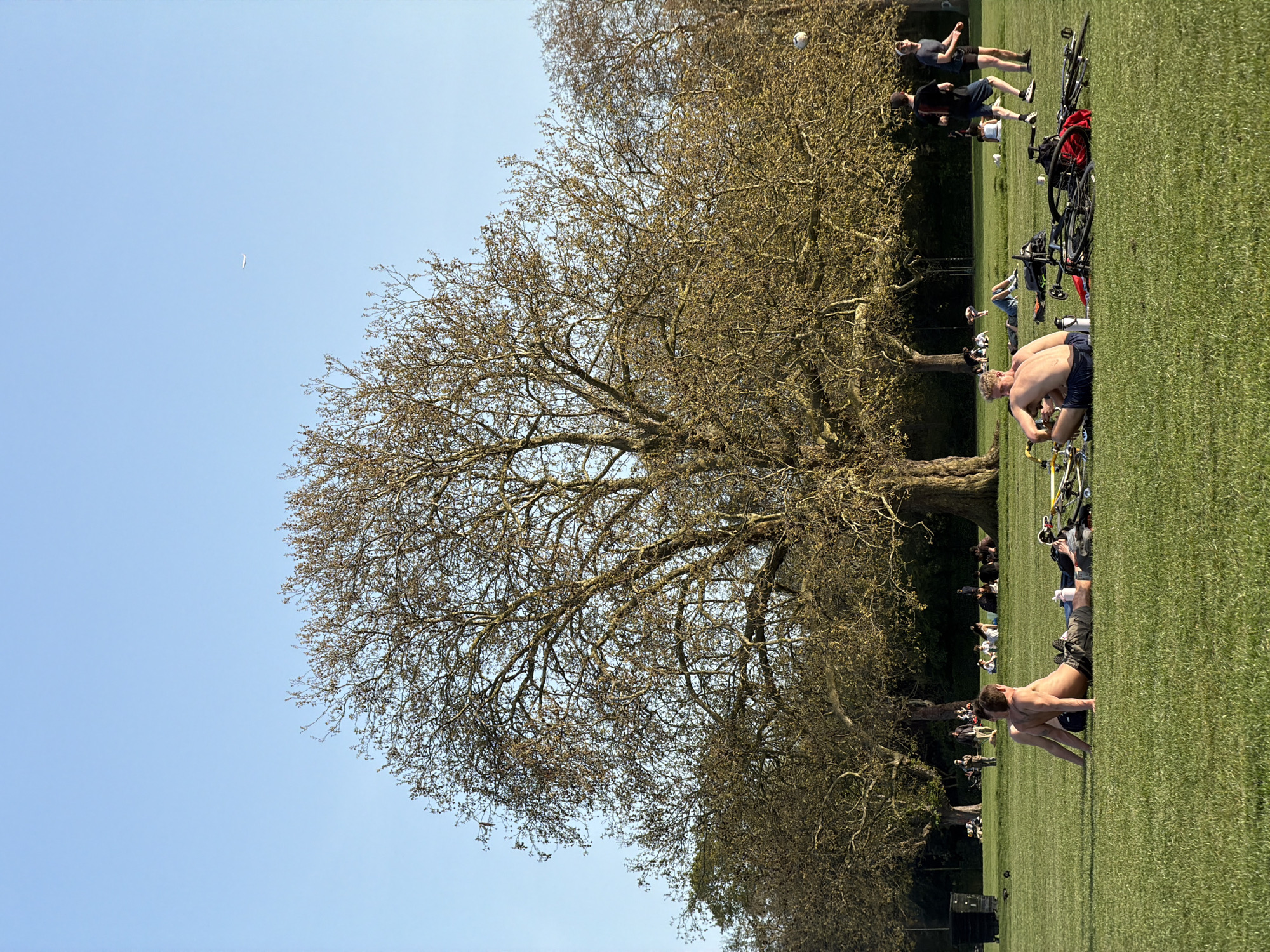 Londoners enjoy sunny afternoon in park as plane passes overhead