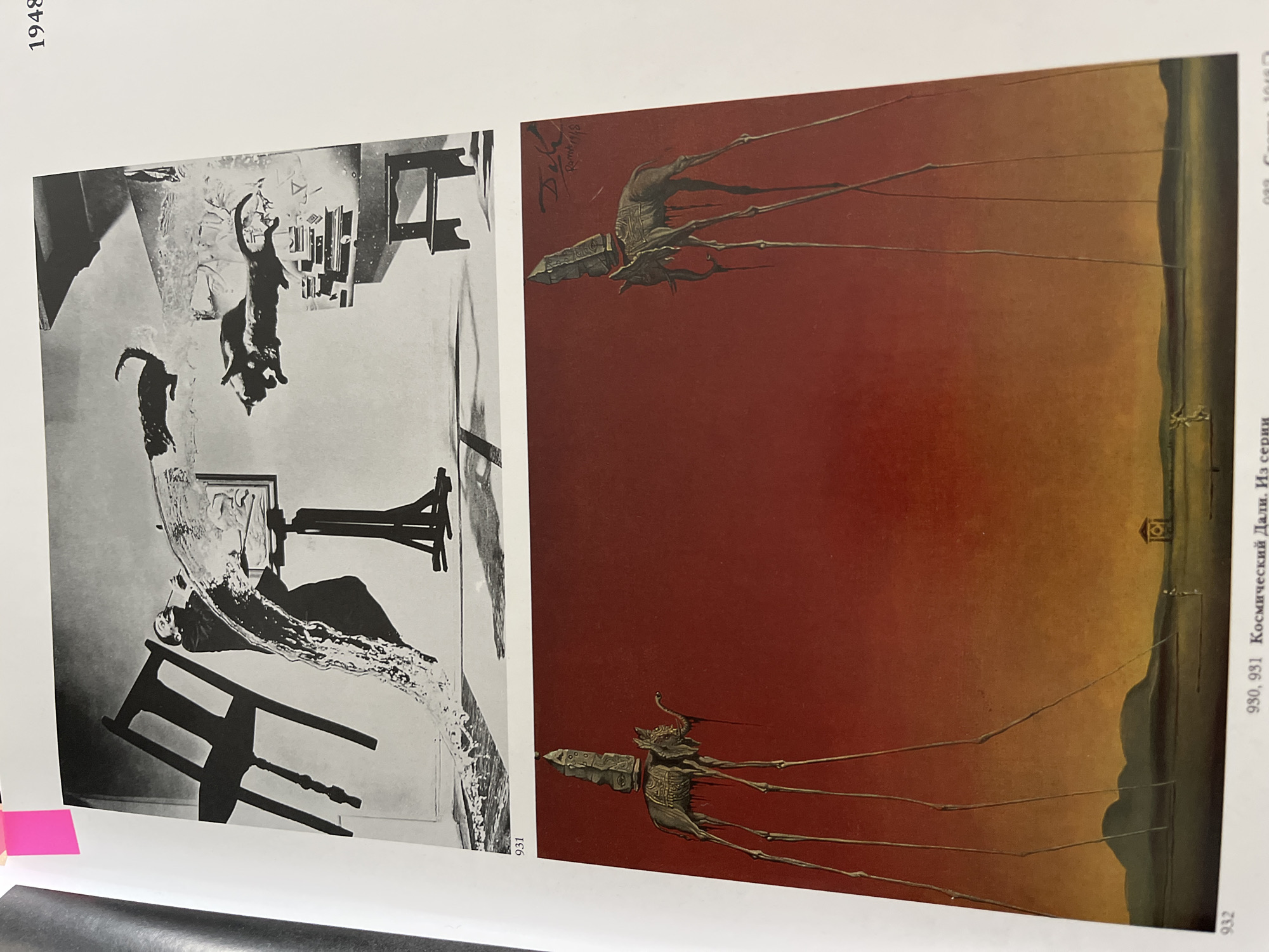 Morning documentation session captures portraits, pets, skies, art books