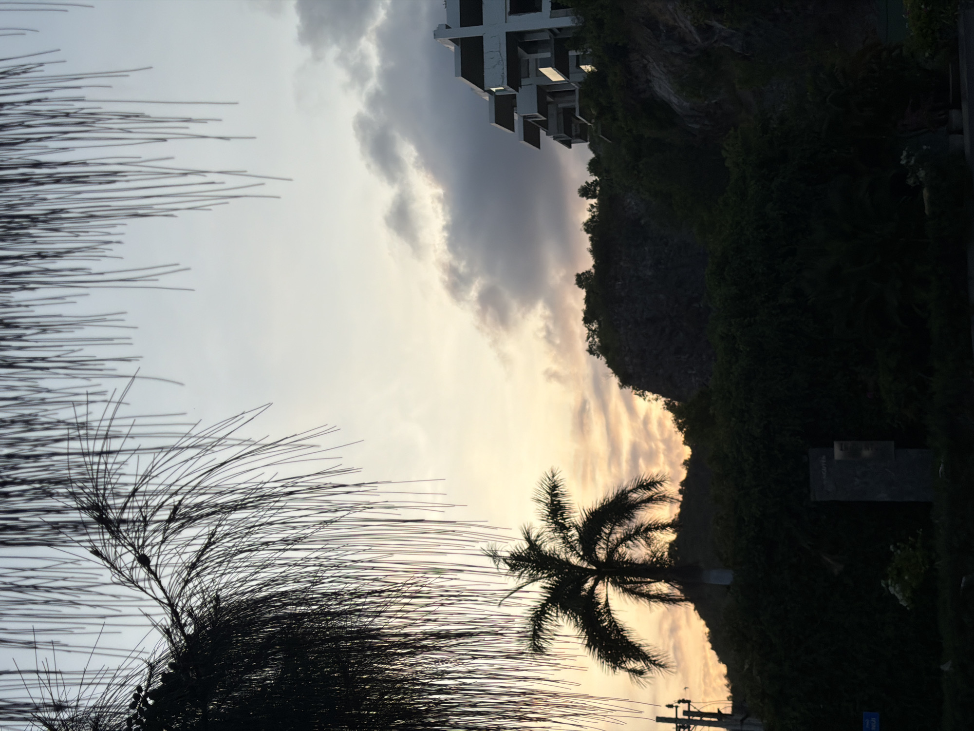 Palm tree silhouetted against colorful sky in Nha Trang