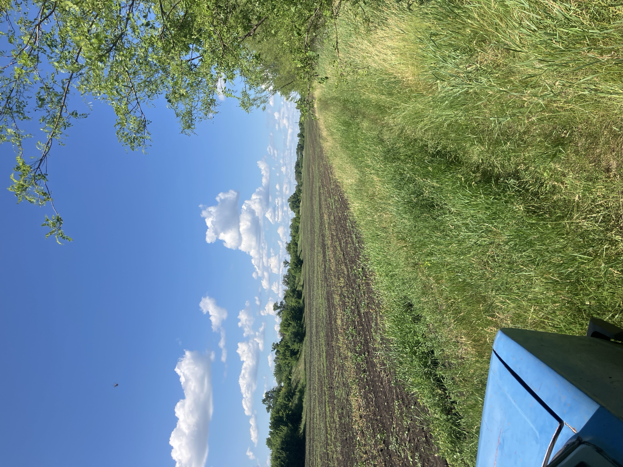 Rural Ukraine farmland documented under clear skies near Vyshneve