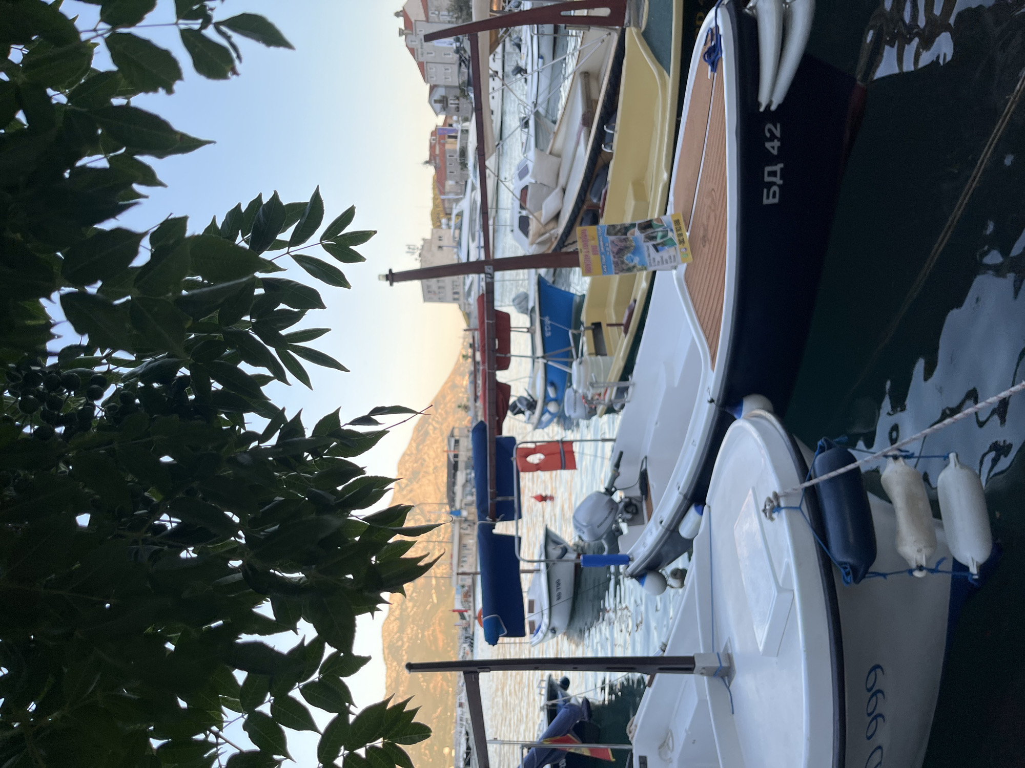 Harbor boats, a golden bell, and a curious black cat
