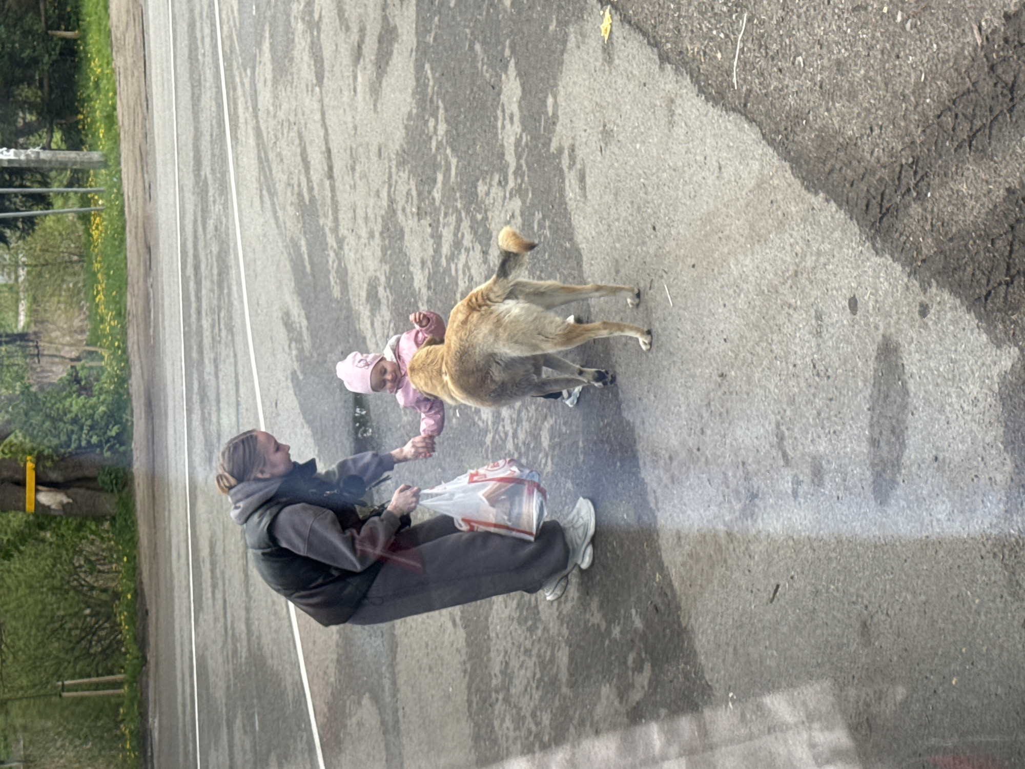 Woman with bag interacts with child on Russian road