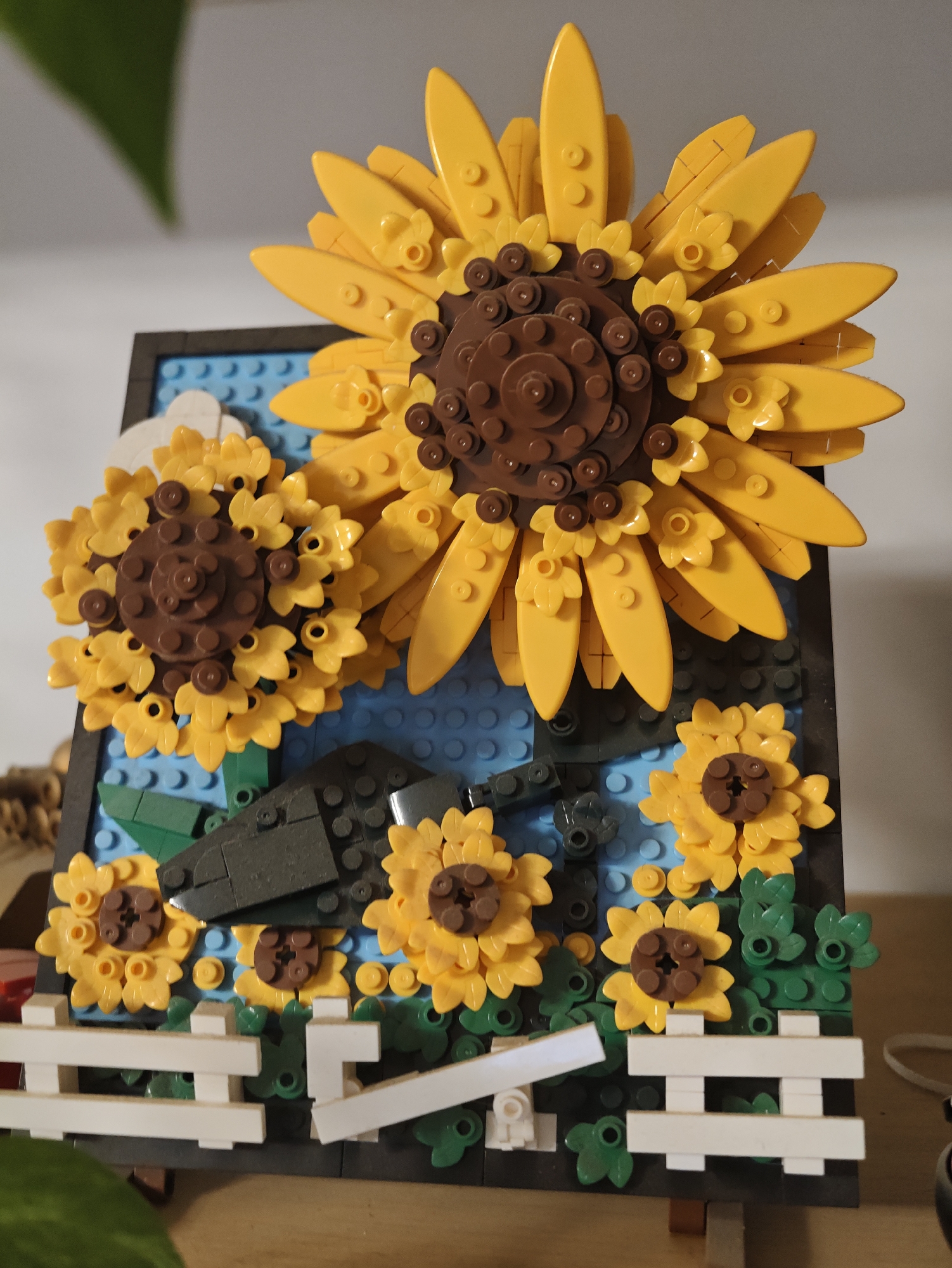 Home in Petah Tikva: collectibles, a sleeping dog, and an afternoon in