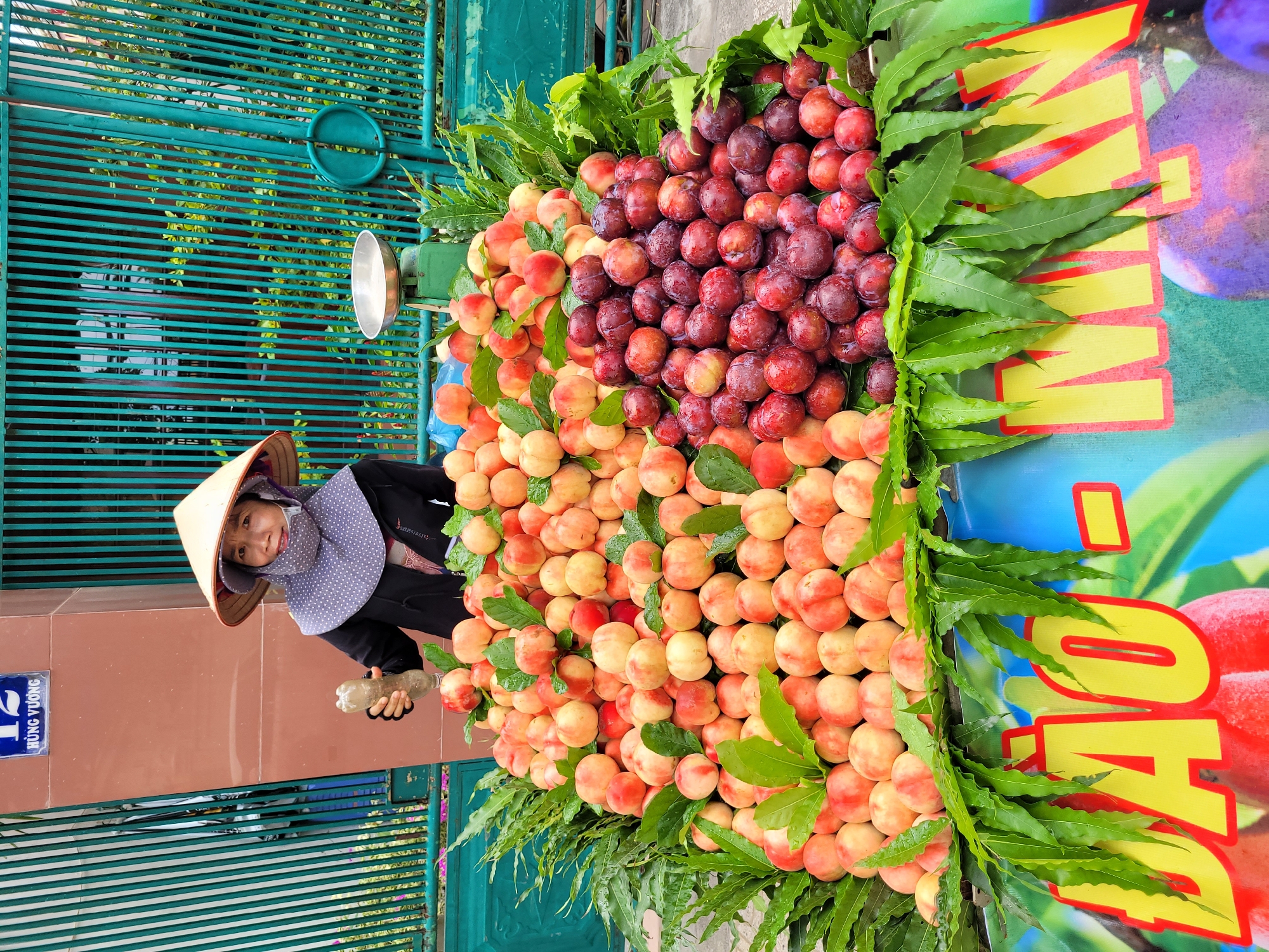 Fruit stands, cacti, and colorful storefronts on city streets