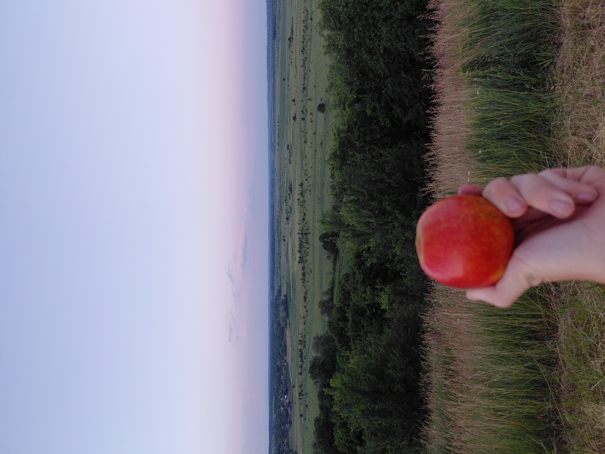 Evening picnic documented in rural Ukraine countryside at dusk