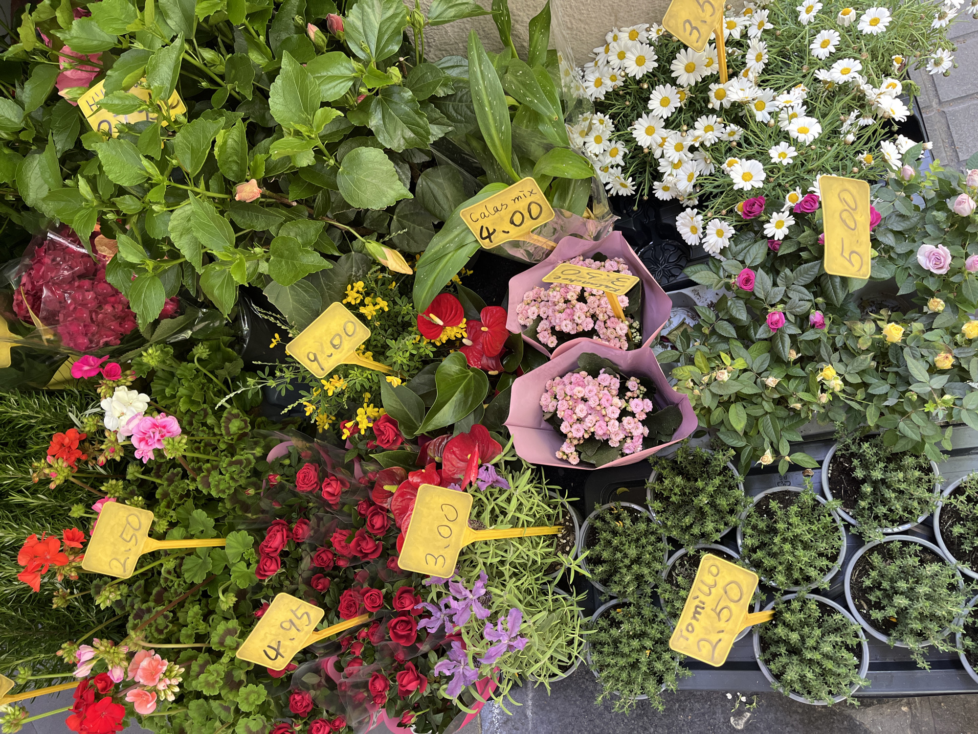 Woman takes mirror selfies while flower shopping in Barcelona