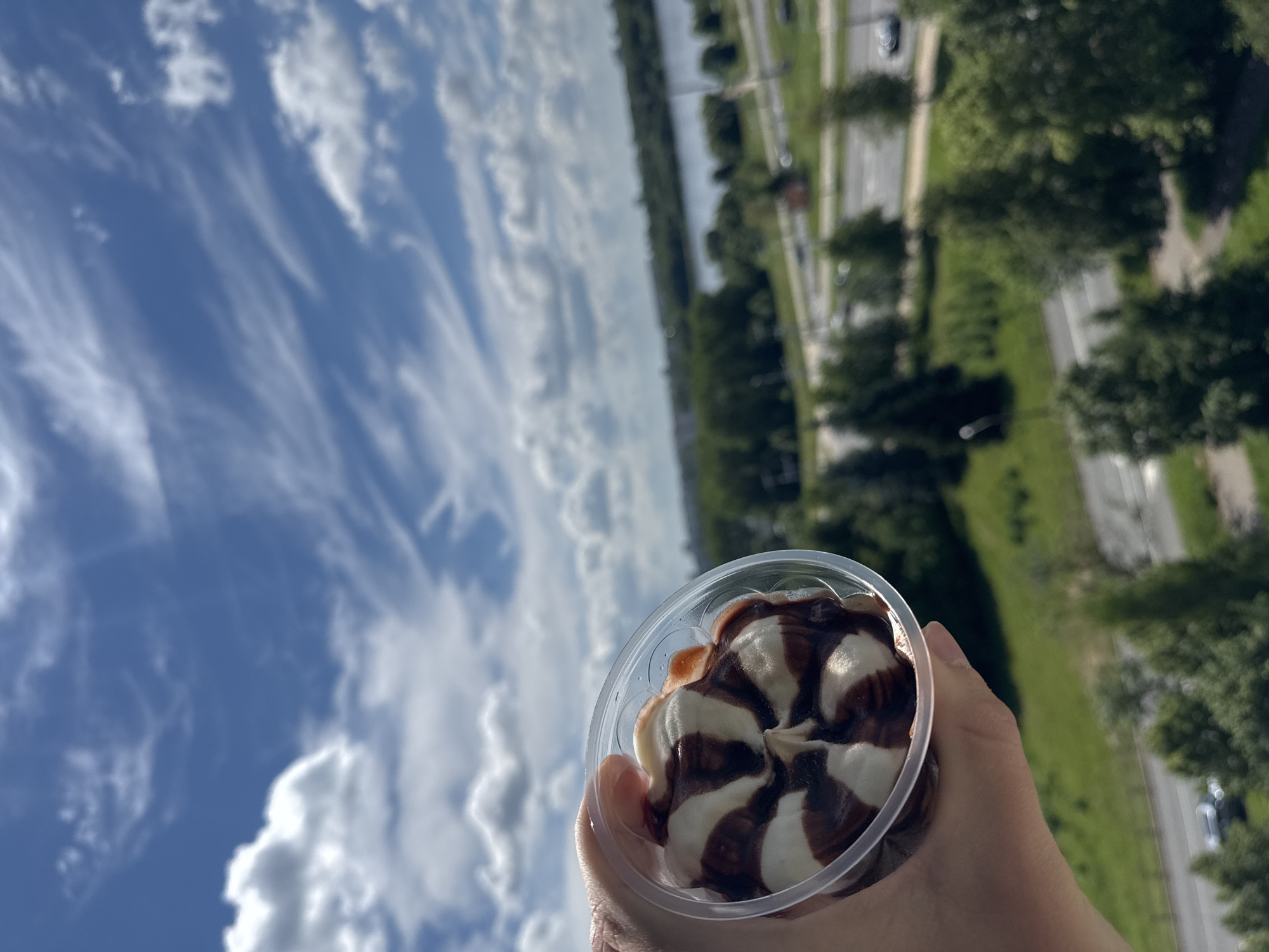 Ice cream, a small dog, and city views from above