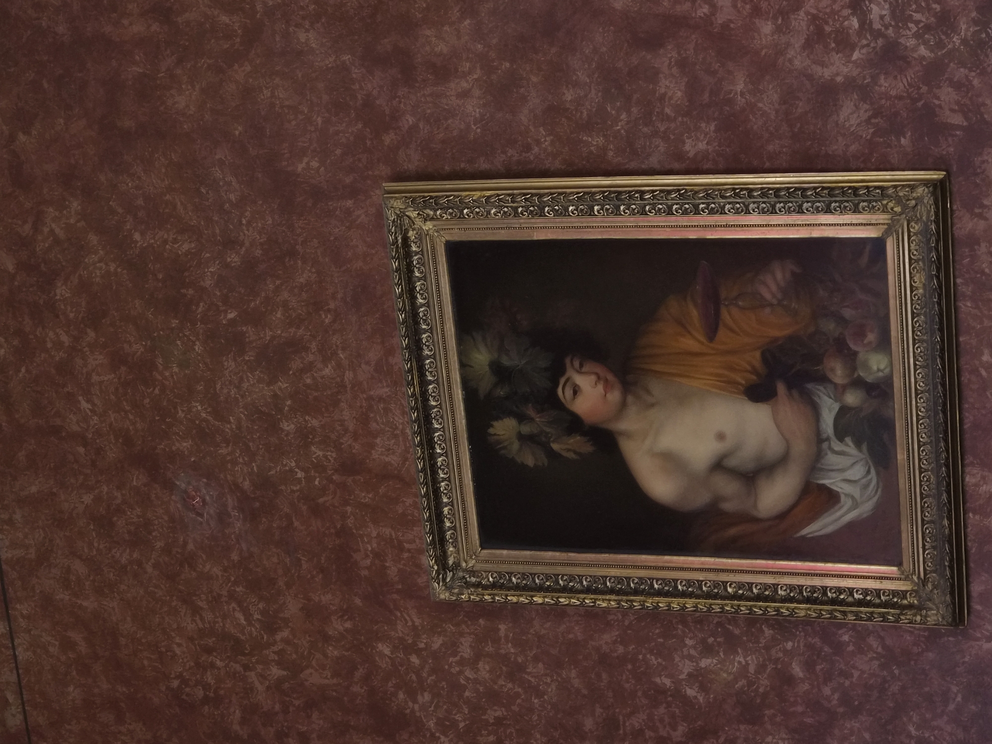Visitors document ornate classical art in Vienna historical building