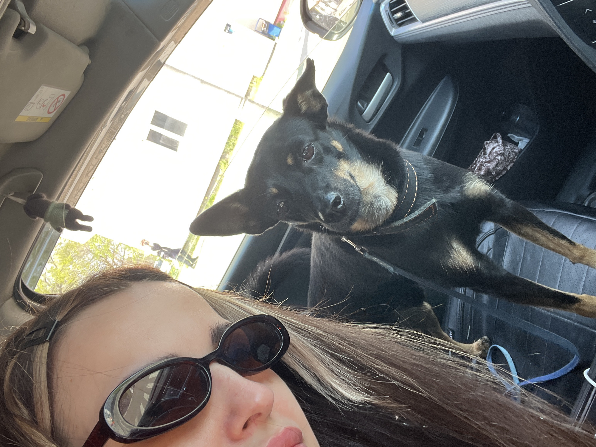 Woman Takes Car Selfies with Dog During Early Morning