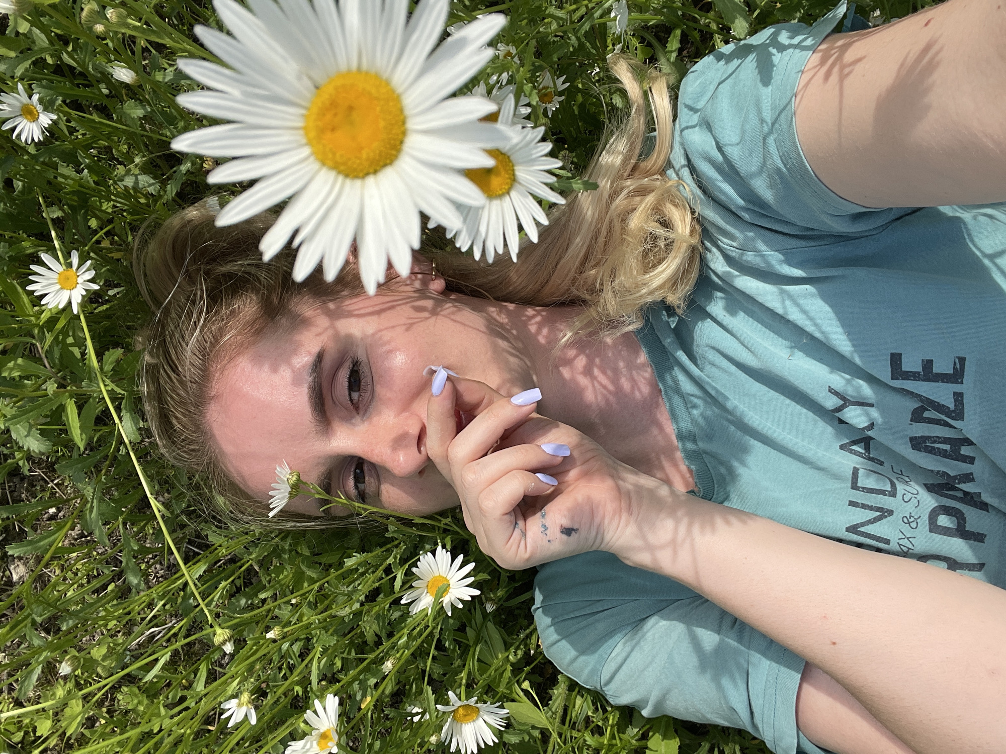 Morning barbecue gathering captured in Russian daisy field