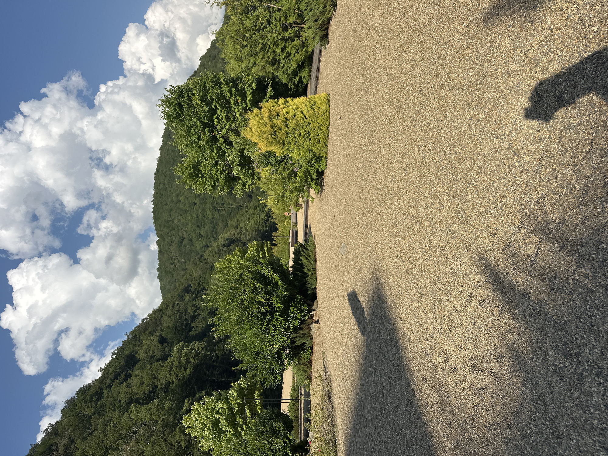 Summer afternoon on the promenade and slopes of Estosadok