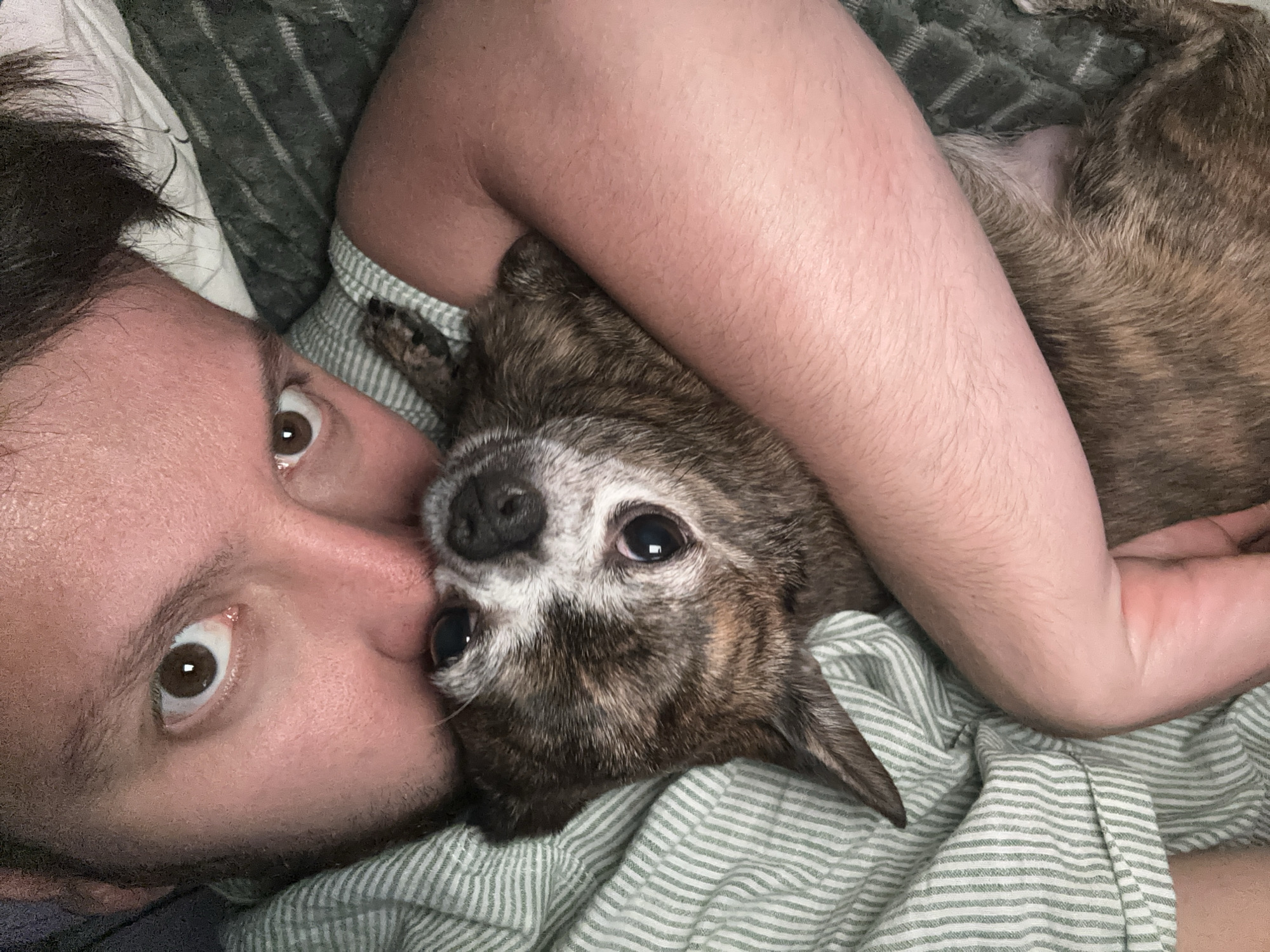Late night selfies with chihuahua in Mirny, Russia