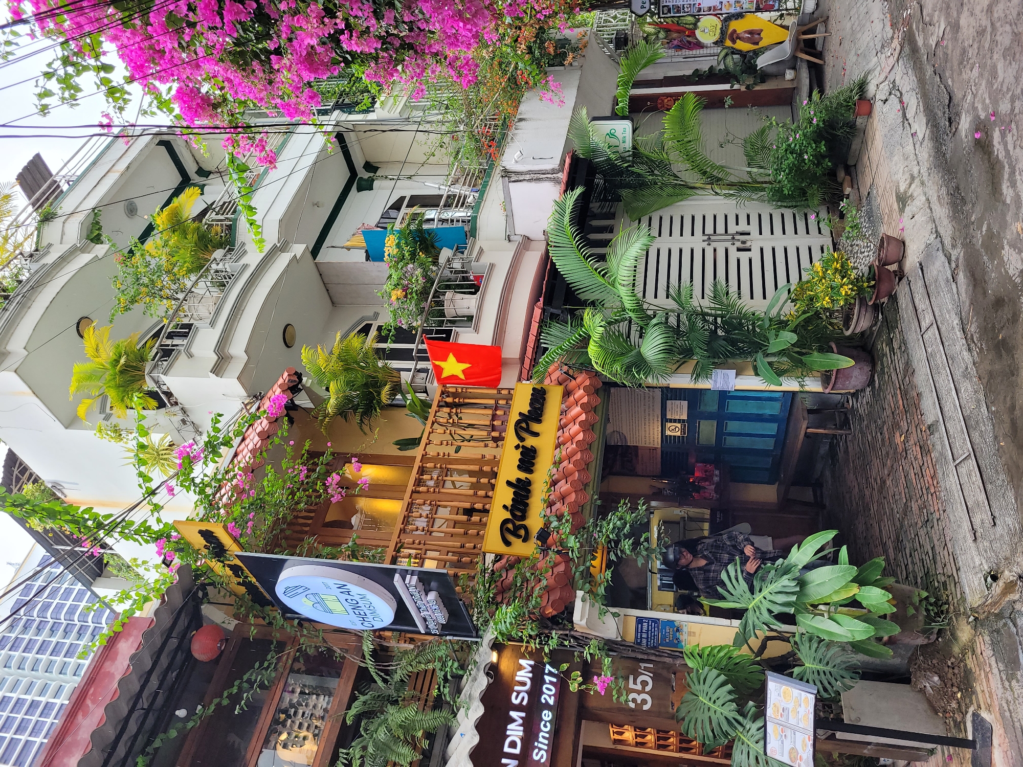 Southeast Asian street corner with a bold blue-leaf building