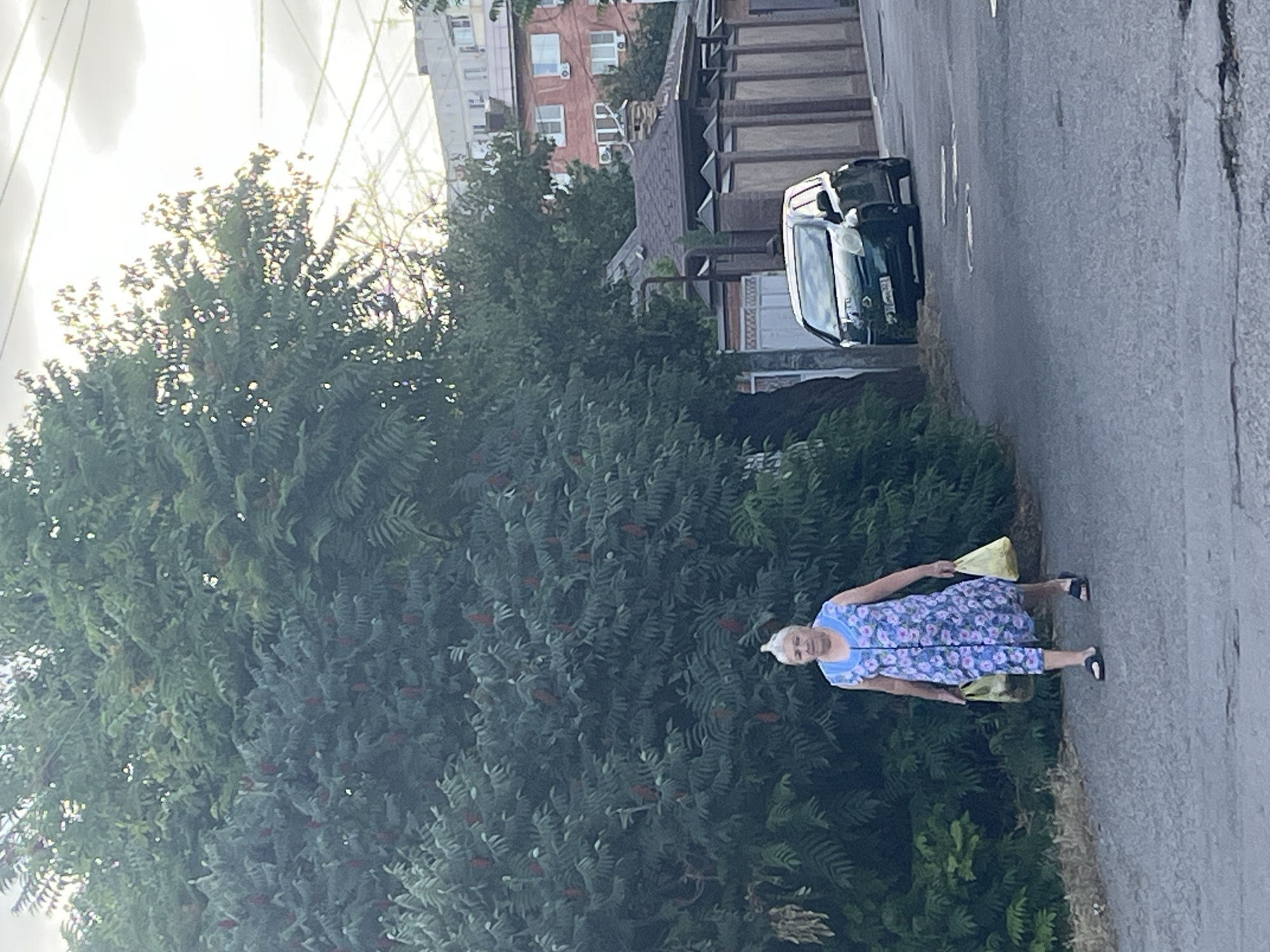Krasnodar streets and rail lines on a June afternoon