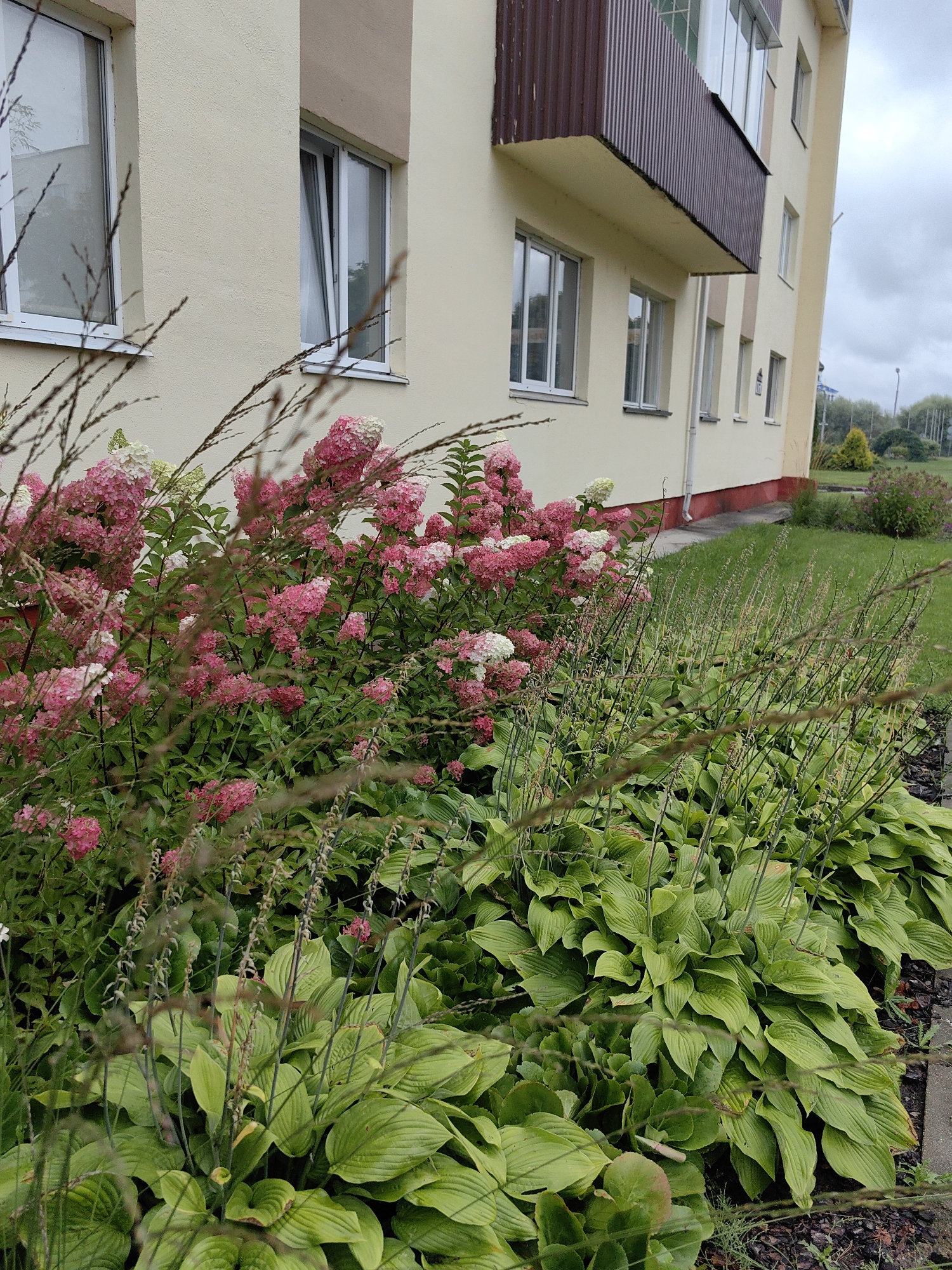 Strolling a mural-lined residential neighborhood in Myadzyel, Belarus