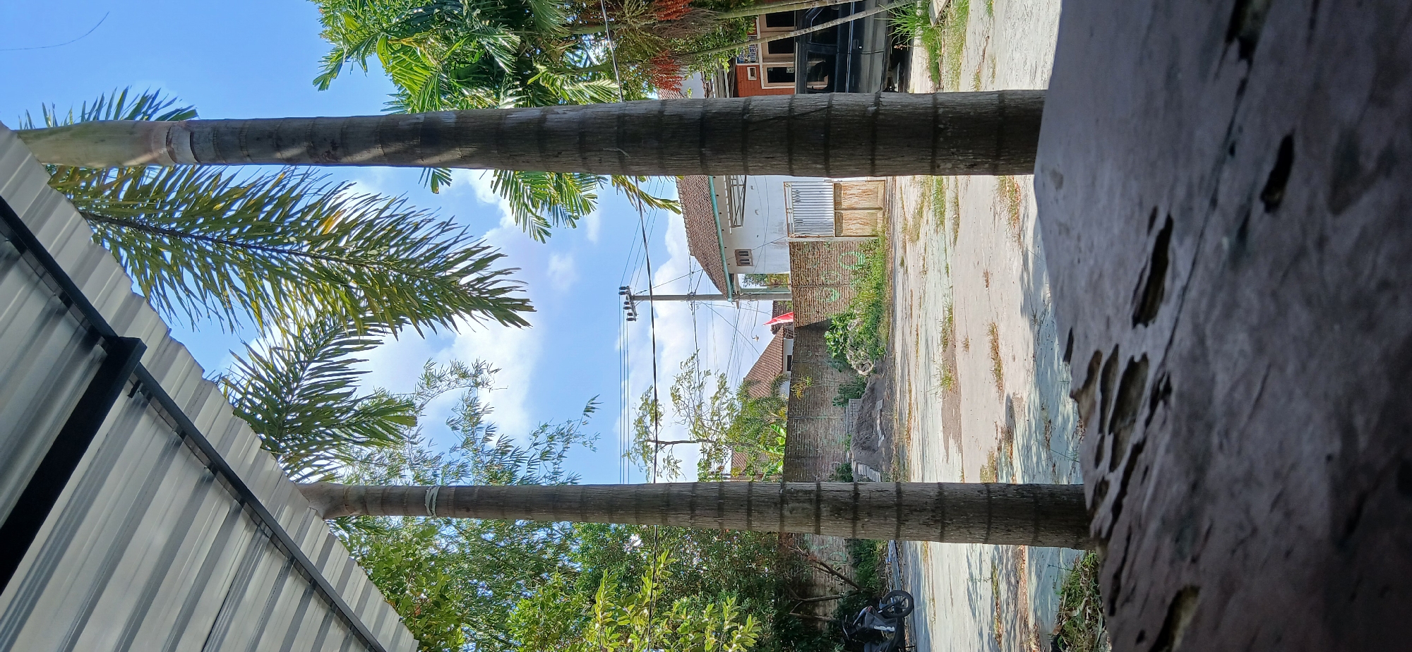 Quiet morning at a village cooperative in Pejaten, Indonesia
