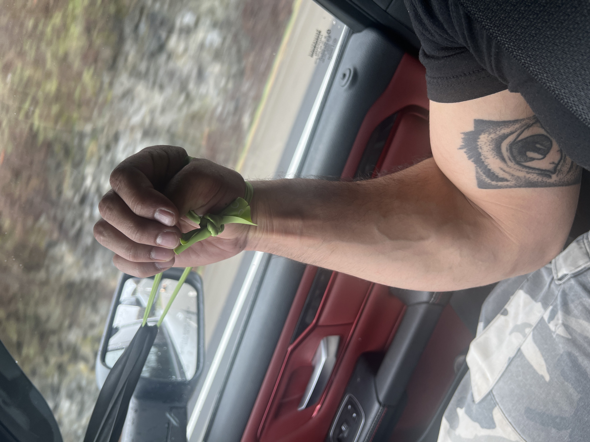 Person with tattoo holds green objects inside moving vehicle