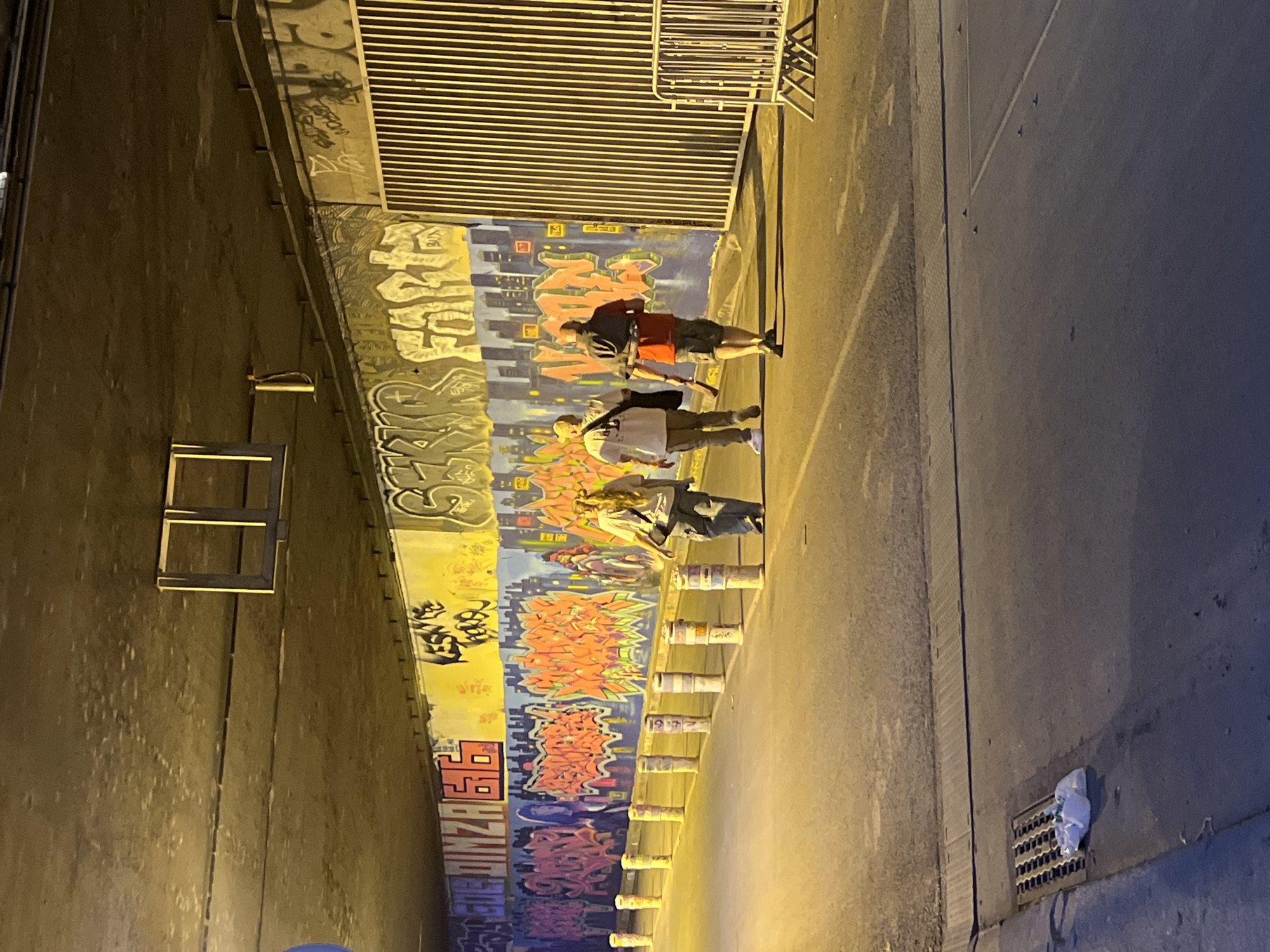 Evening street performances enliven Paris Seine riverfront during twilight hours