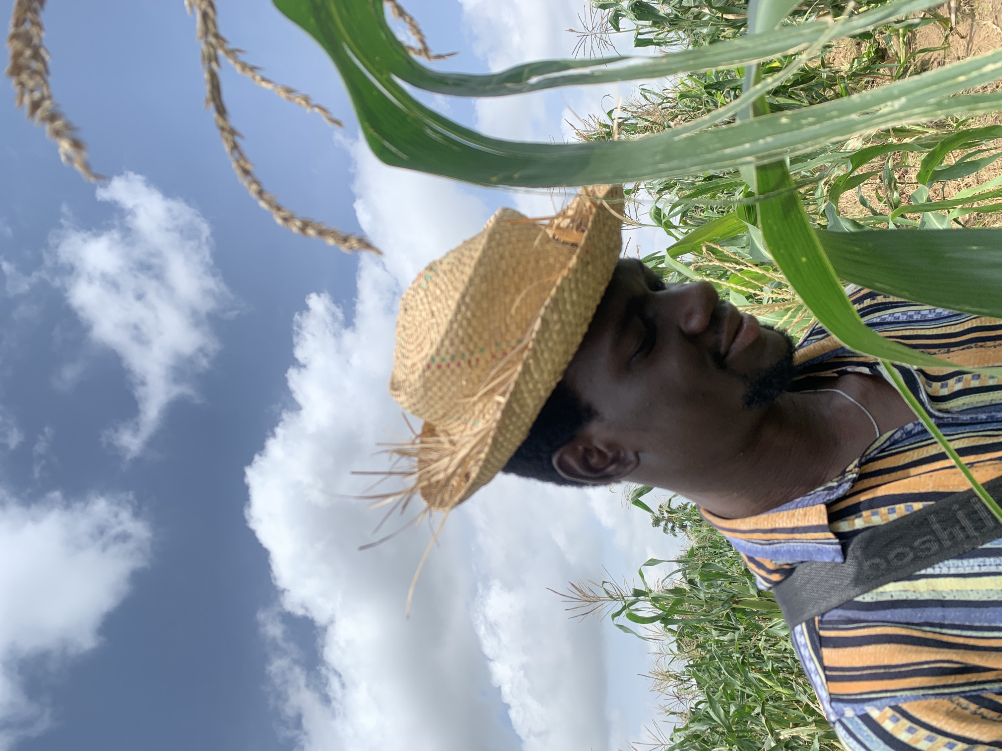 Morning visit to a cornfield in Gwafan, Nigeria
