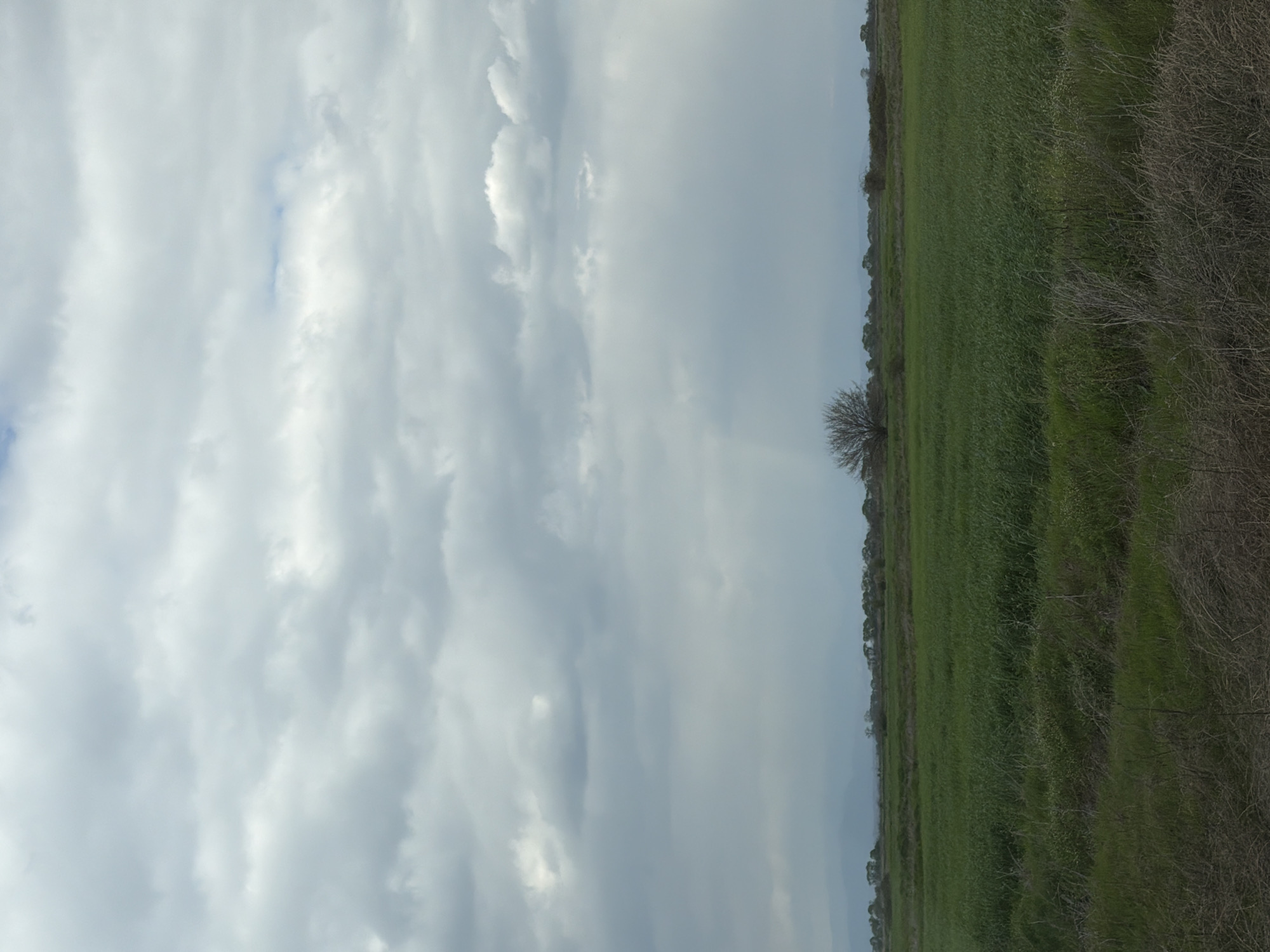Overcast skies observed over rural Tsalapitsa, Bulgaria countryside