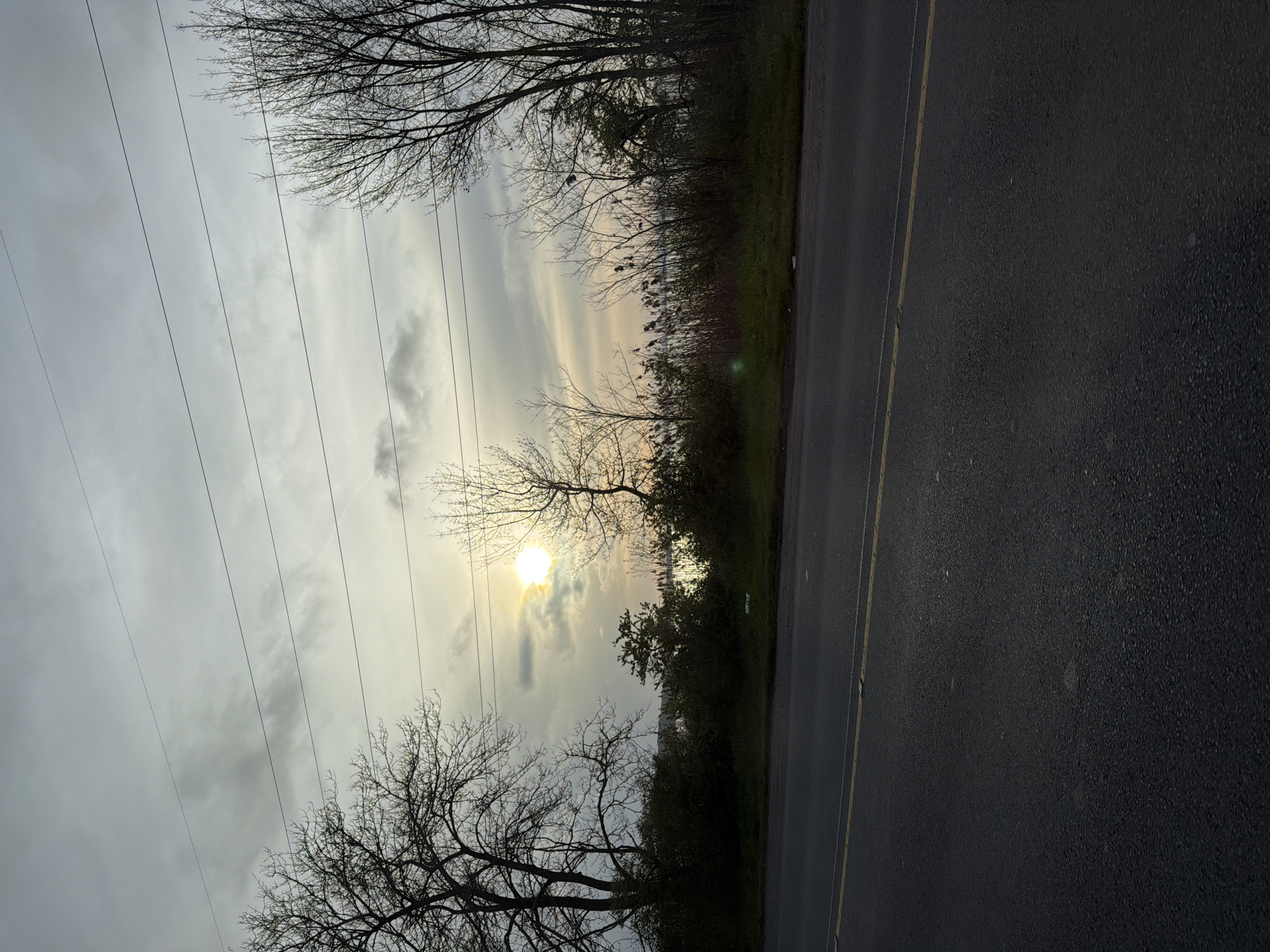 Roadside landscape captured during sunrise or sunset hours