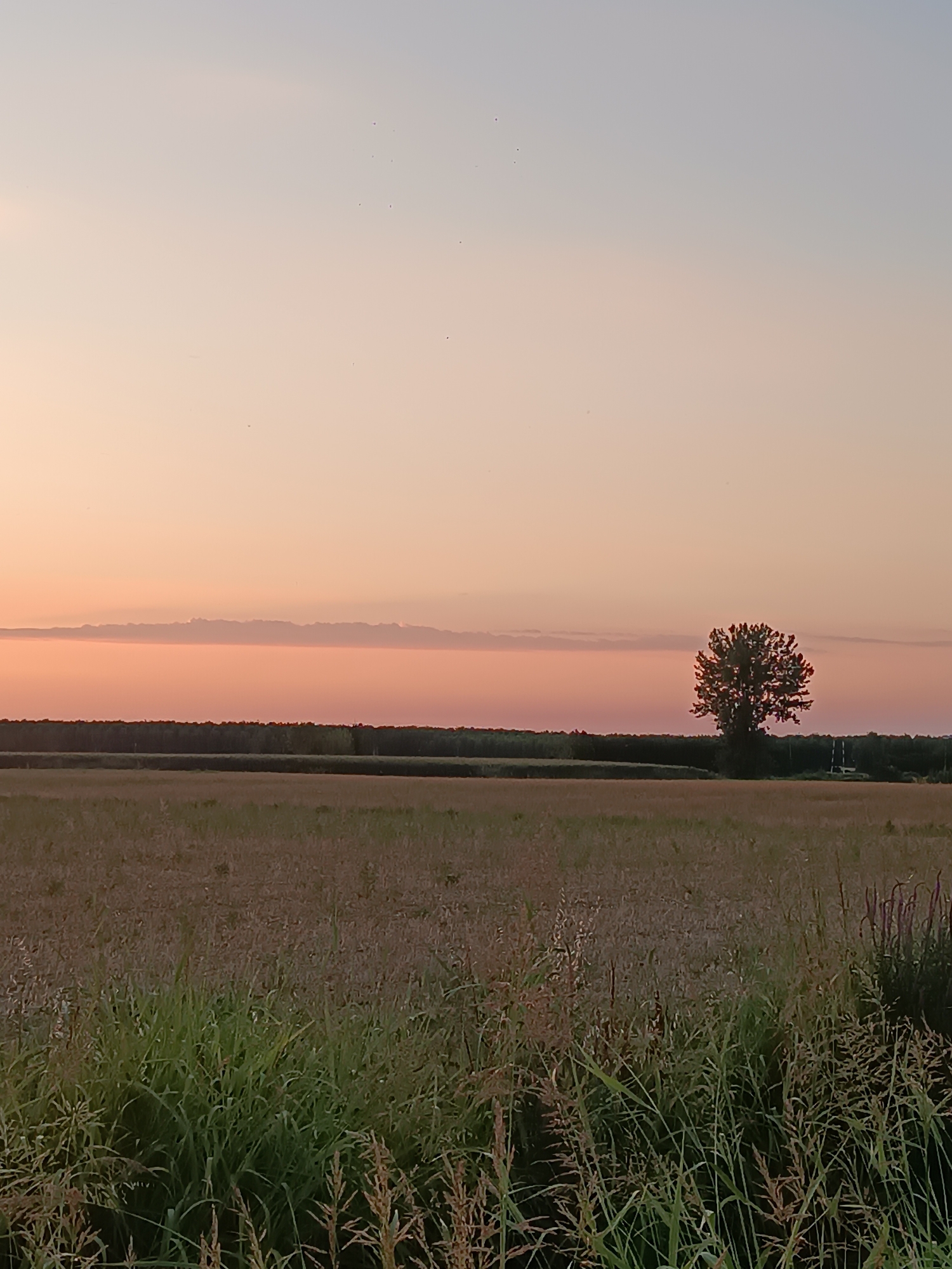 Sunset over rural fields near Viadana, Italy
