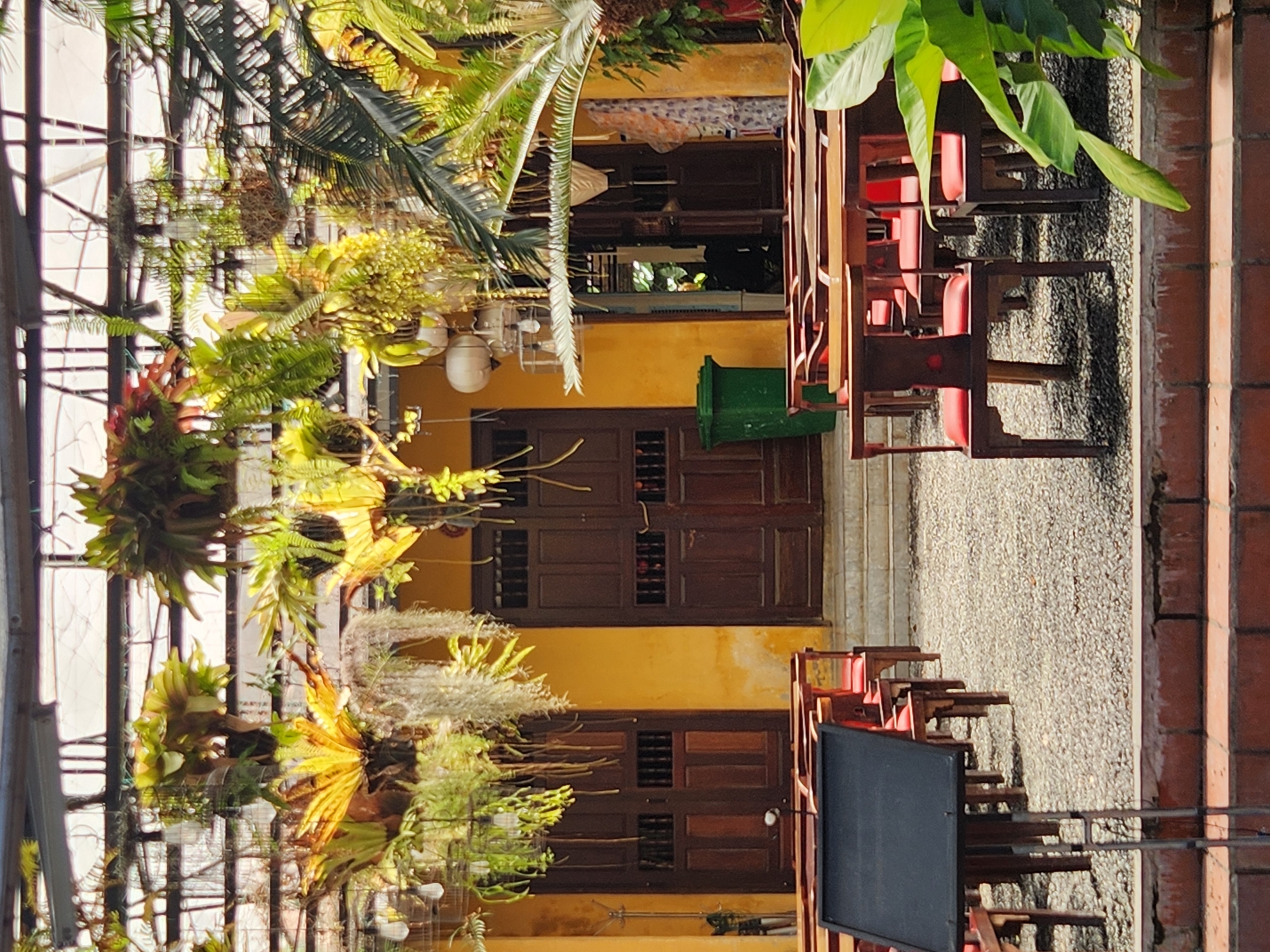 Morning walk through Hoi An's lantern-lit streets and candy shops