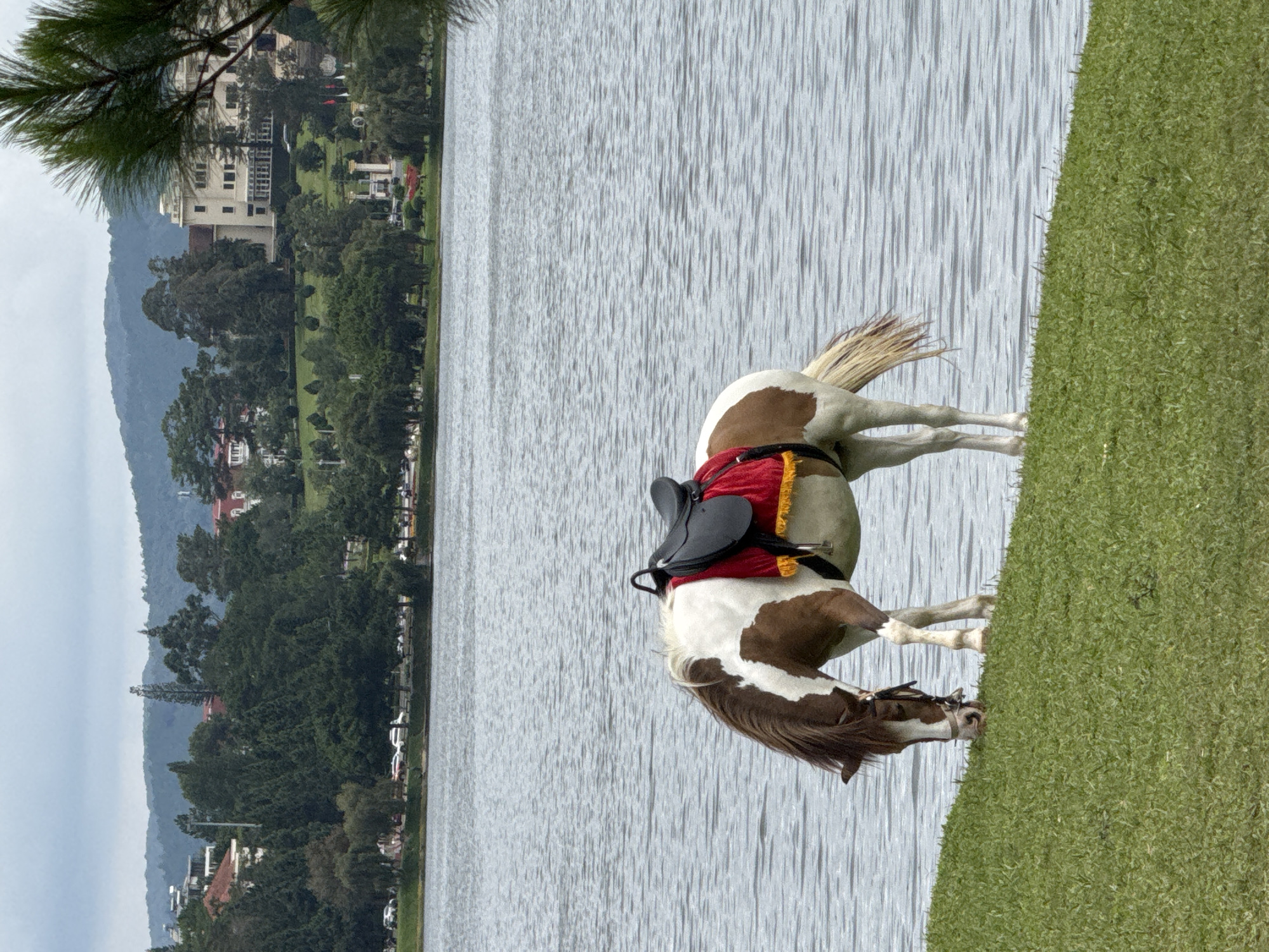 Morning lakeside activities unfold around Xuan Huong Lake, Da Lat