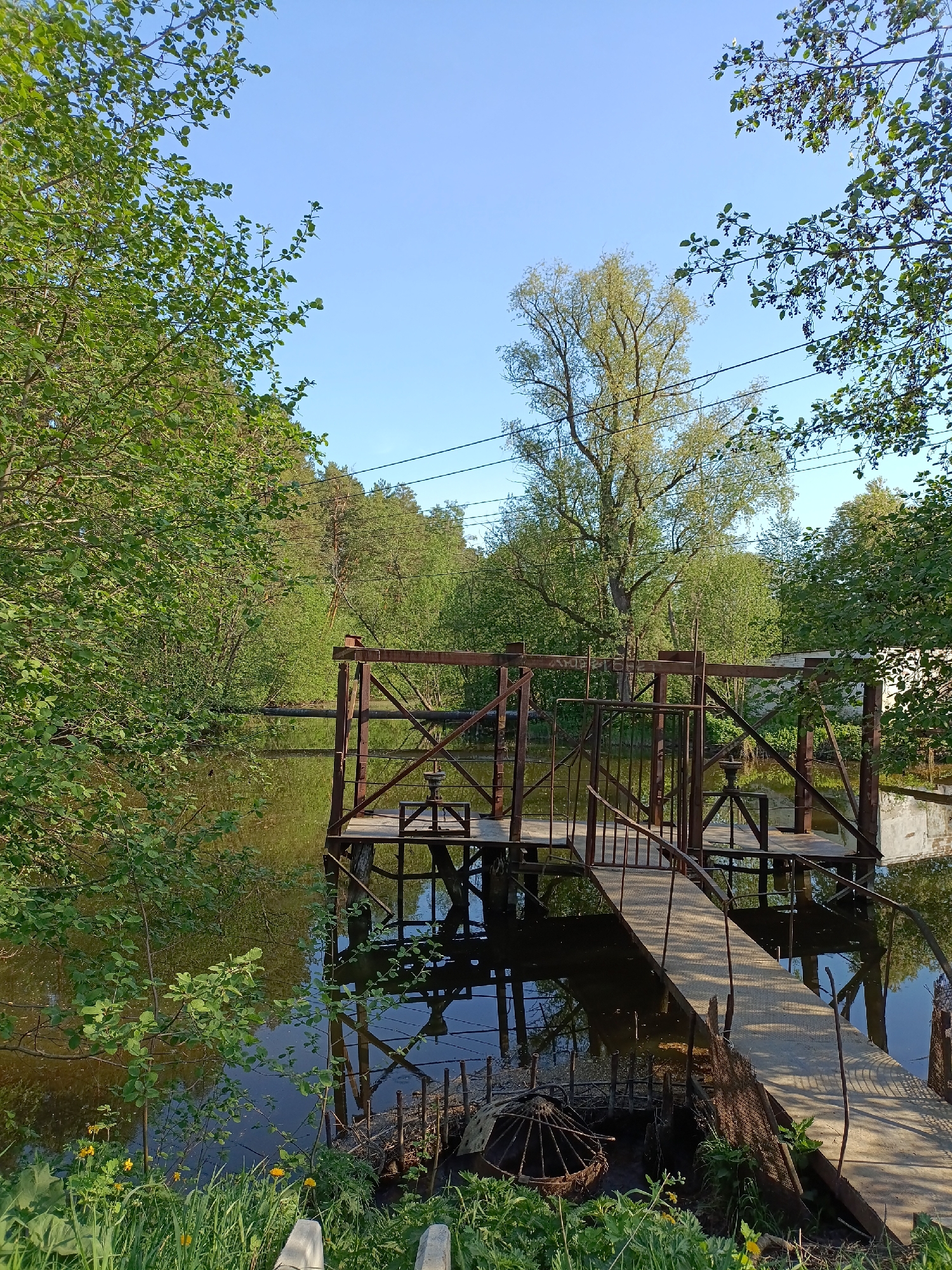 Visitors document serene pond life in Chaikovsky, Russia