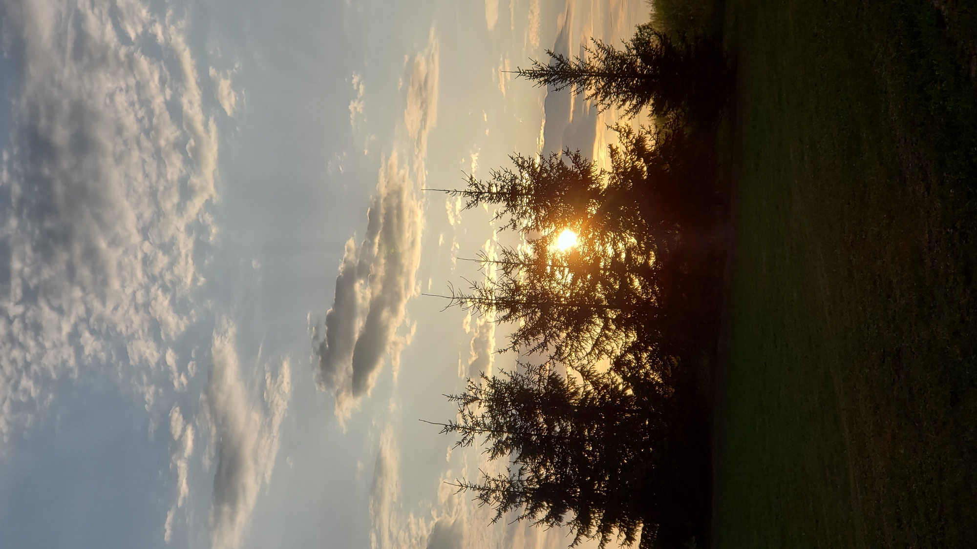 Sunset horseback ride through the meadows above Prešov
